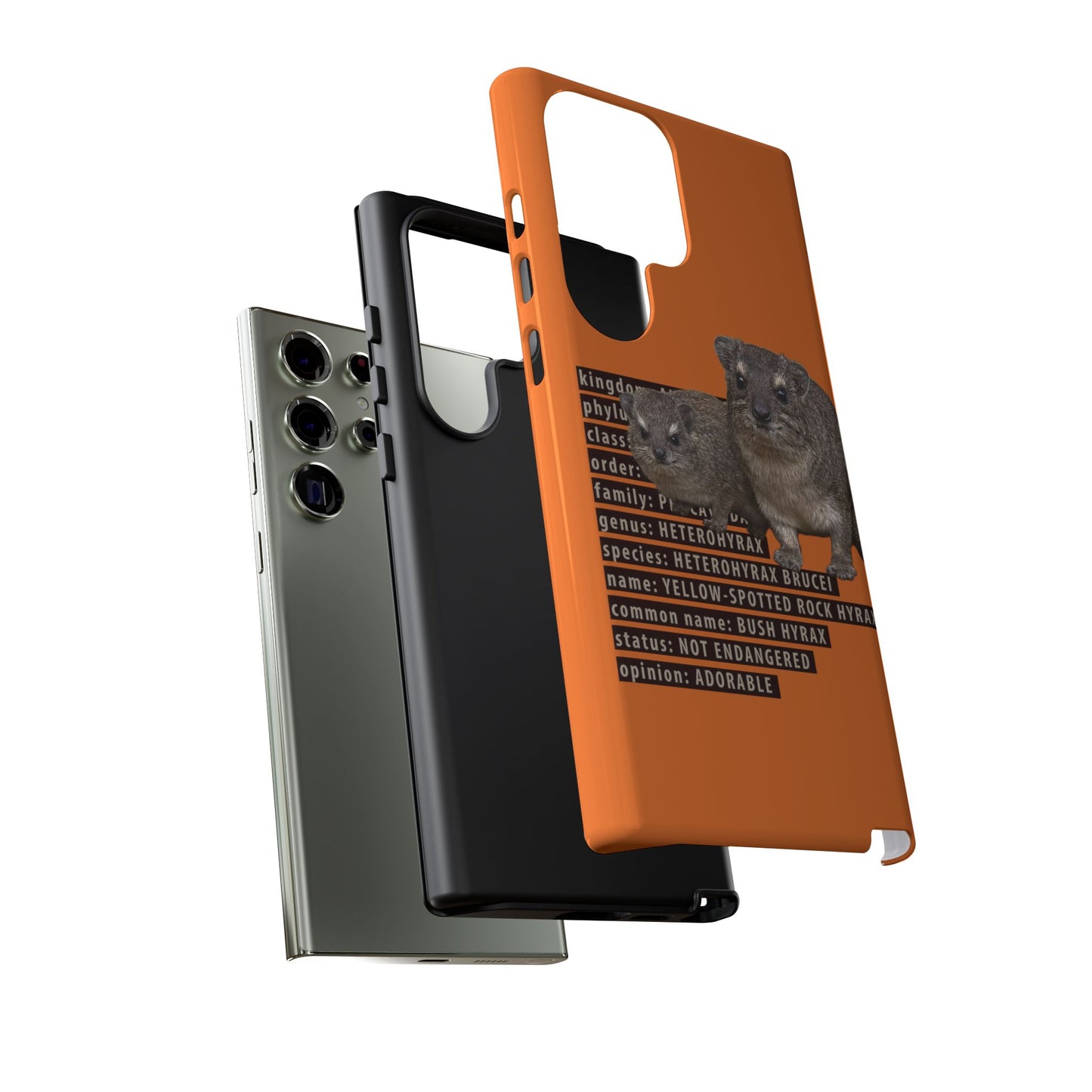 Hyrax Taxonomic Hierarchy Phone Cases