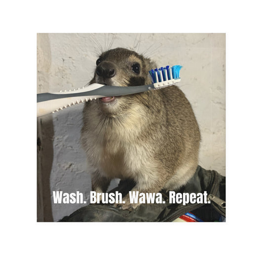 Hyrax Face Towel — Squiggy Bathroom Hand Towel