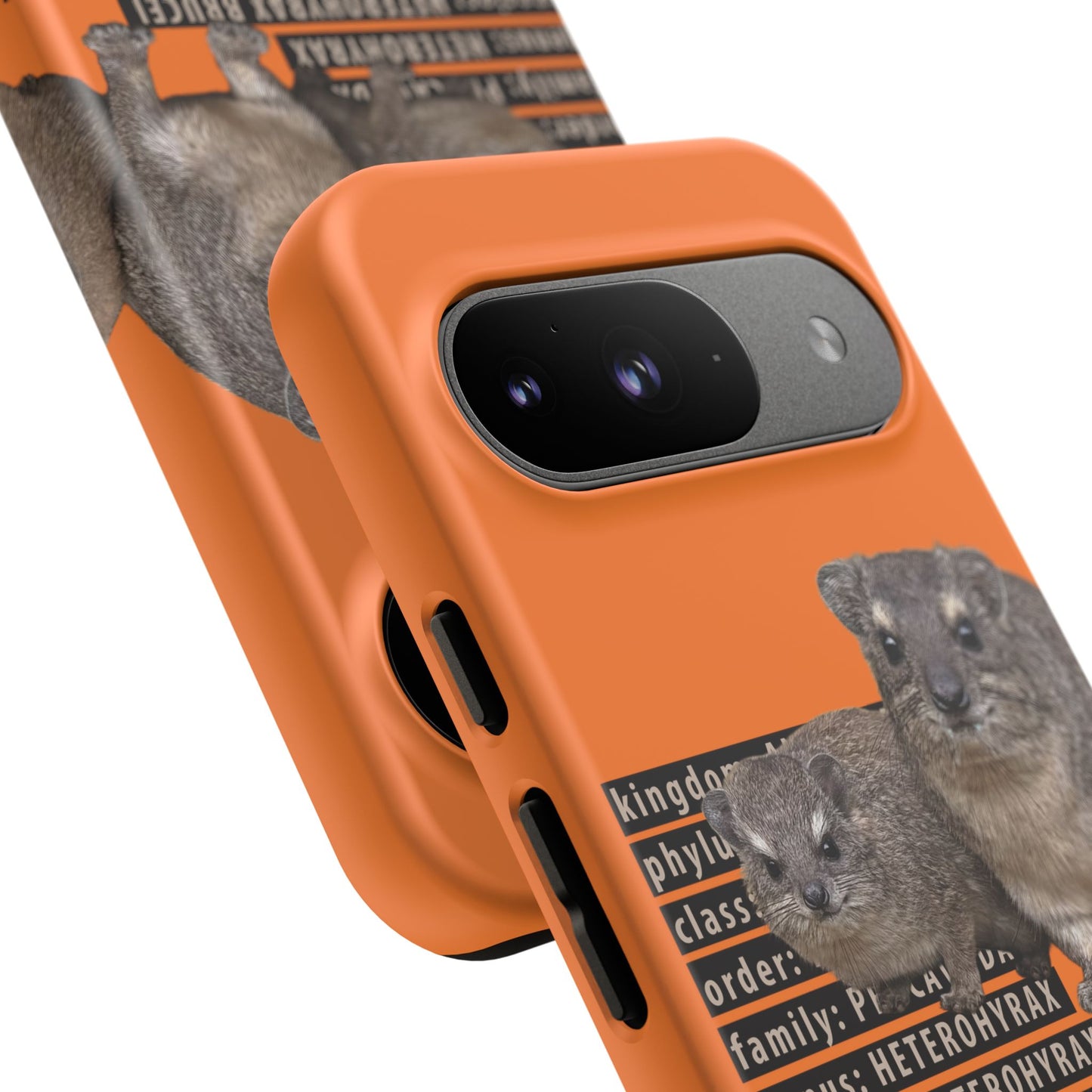 Hyrax Taxonomic Hierarchy Phone Cases