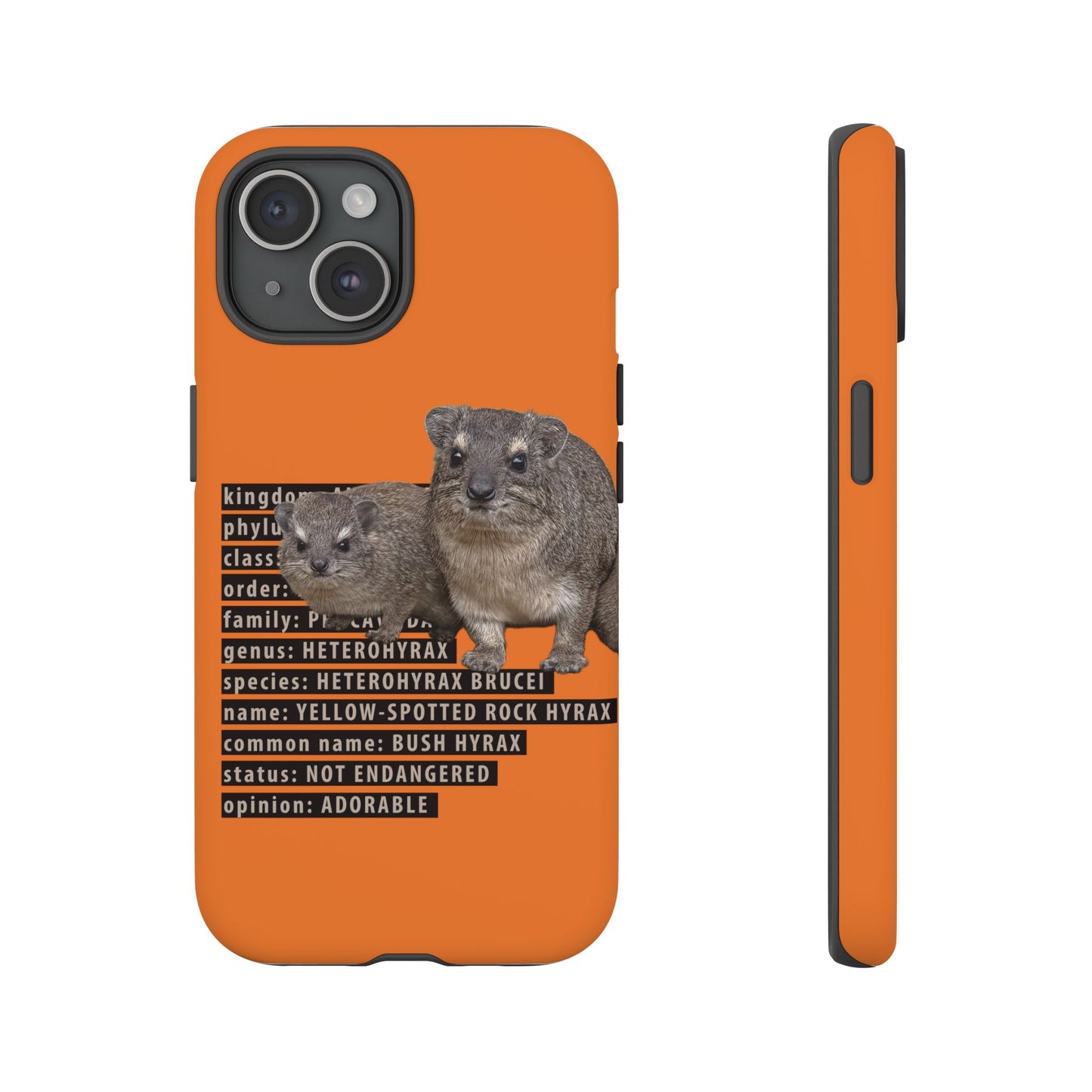 Hyrax Taxonomic Hierarchy Phone Cases