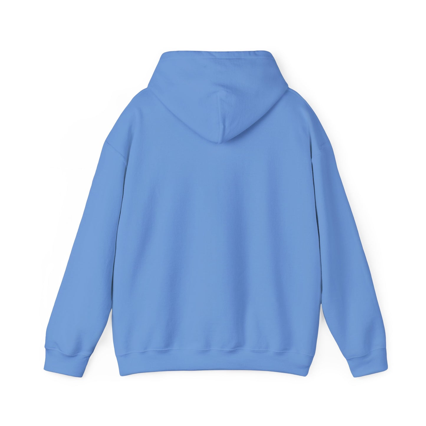 Vibrant Hyrax Hoodie, Cozy Sweatshirt, Gift for Pet Lovers, Fun Casual Wear, Unisex Hooded Sweatshirt