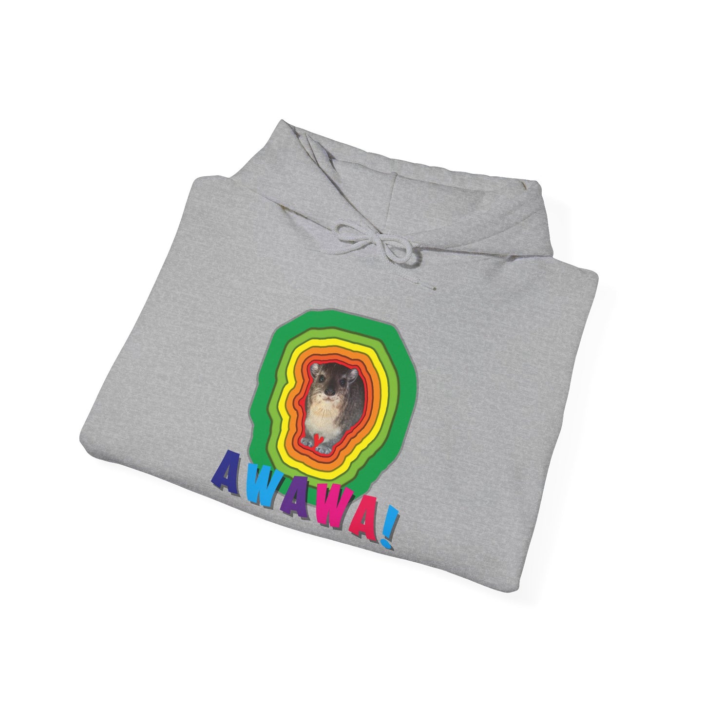 Vibrant Hyrax Hoodie, Cozy Sweatshirt, Gift for Pet Lovers, Fun Casual Wear, Unisex Hooded Sweatshirt