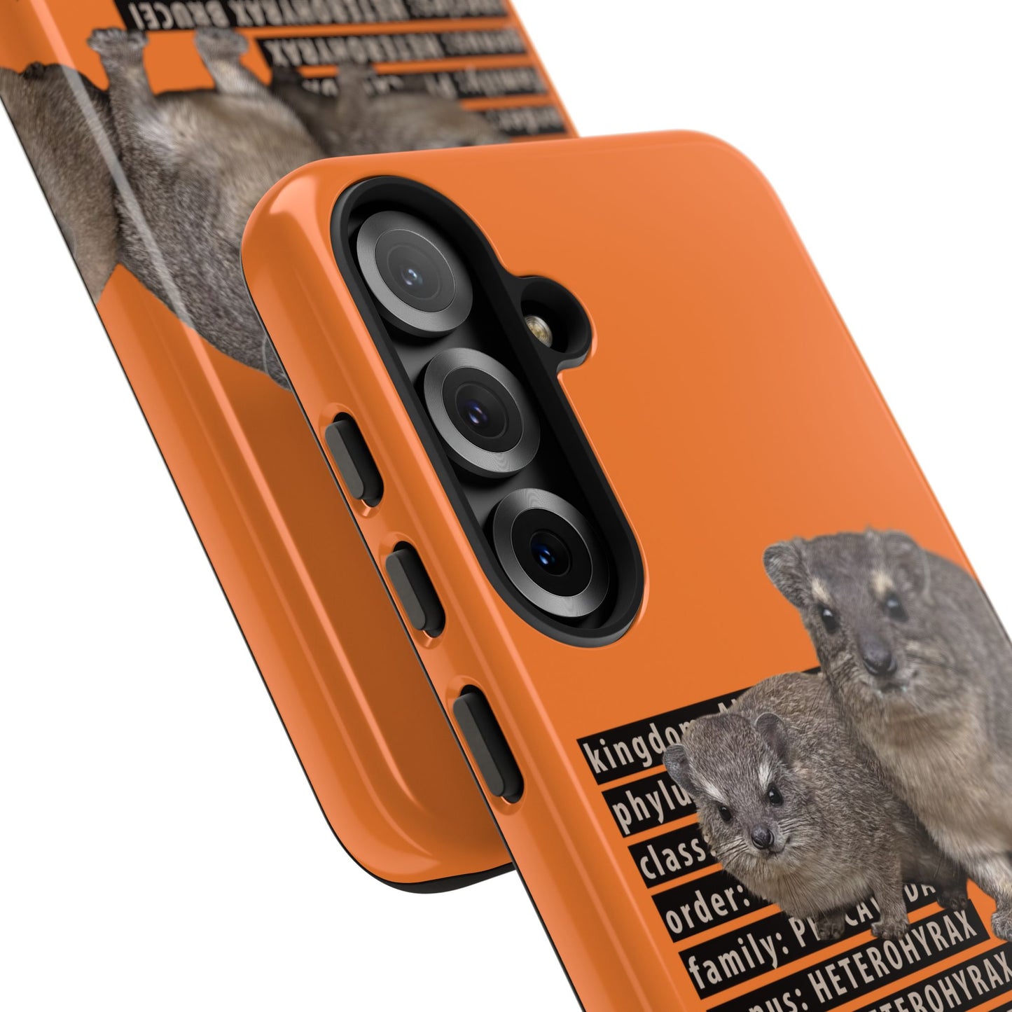 Hyrax Taxonomic Hierarchy Phone Cases