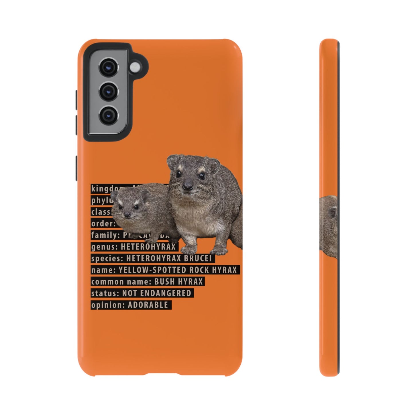 Hyrax Taxonomic Hierarchy Phone Cases