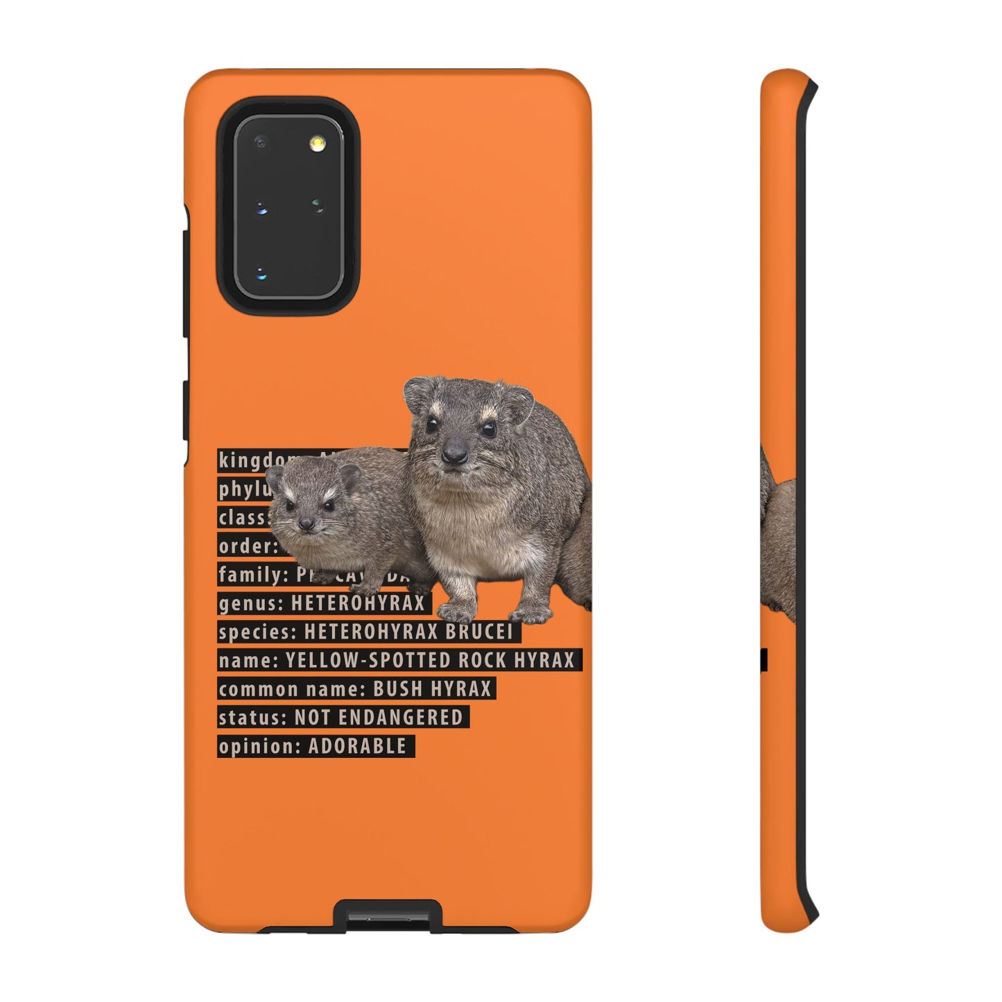 Hyrax Taxonomic Hierarchy Phone Cases