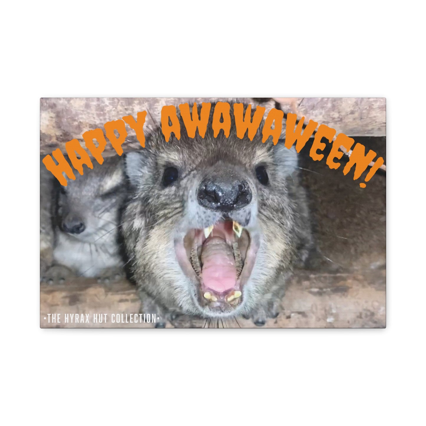 Hyrax Scream Print Wall Art, Halloween, Matte Canvas Photo, Awawa Extreme, Unique Home Decor, Wall Art for Animal Enthusiasts,