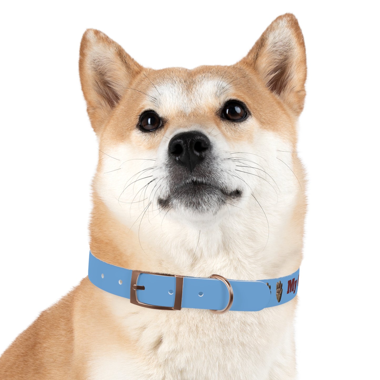 My Other Dog Is A Hyrax - Pet Collar