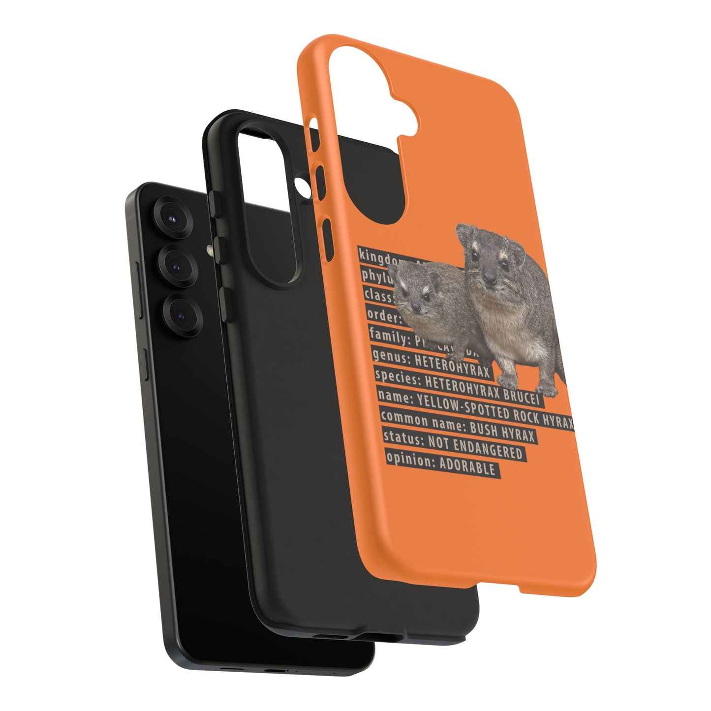 Hyrax Taxonomic Hierarchy Phone Cases