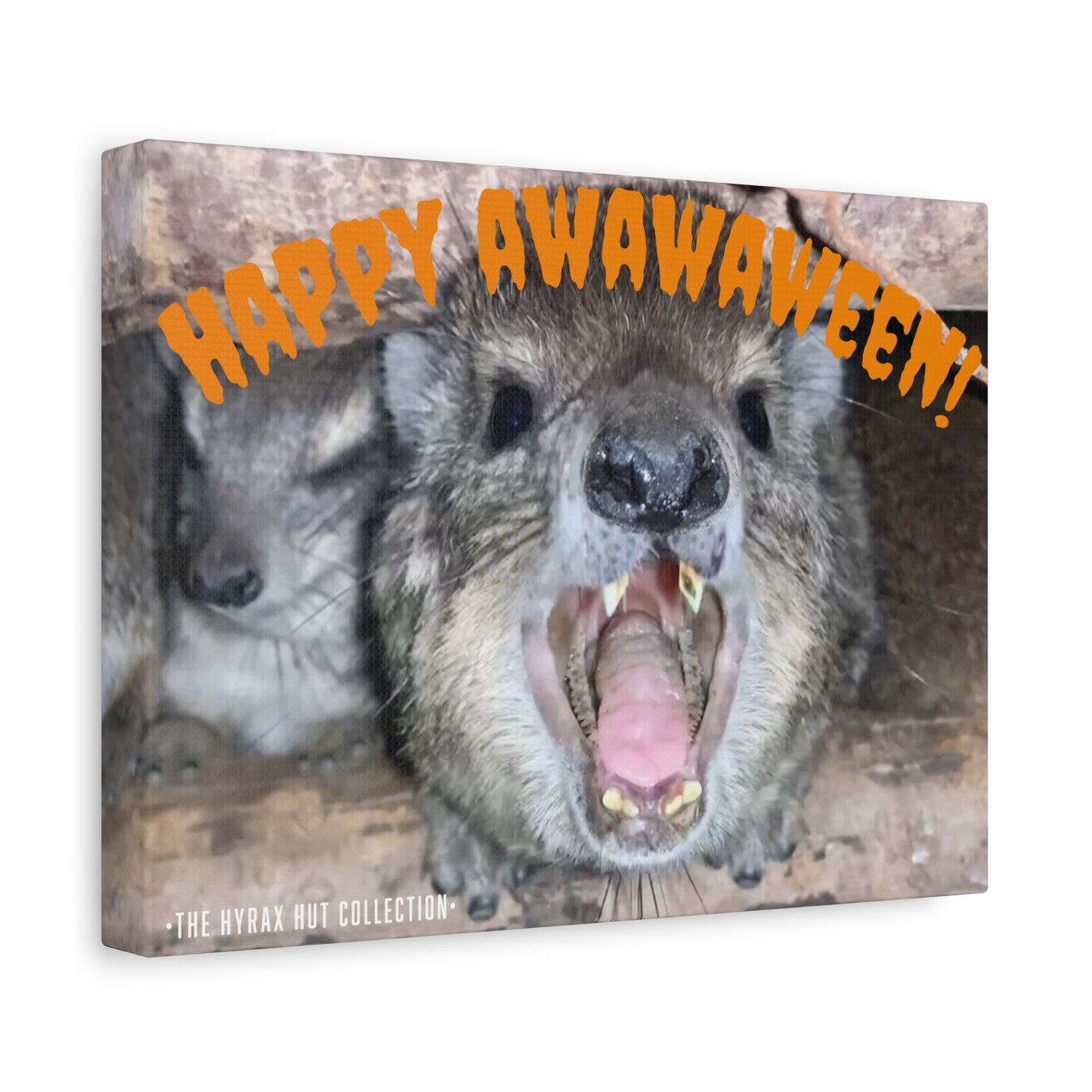 Hyrax Scream Print Wall Art, Halloween, Matte Canvas Photo, Awawa Extreme, Unique Home Decor, Wall Art for Animal Enthusiasts,