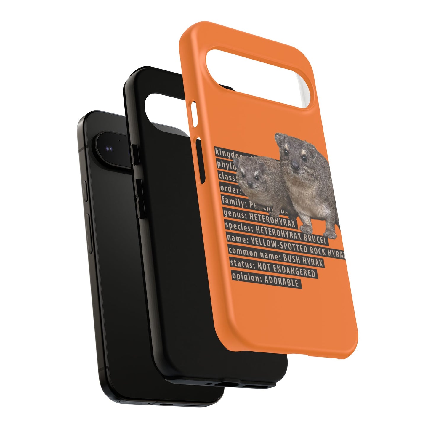 Hyrax Taxonomic Hierarchy Phone Cases