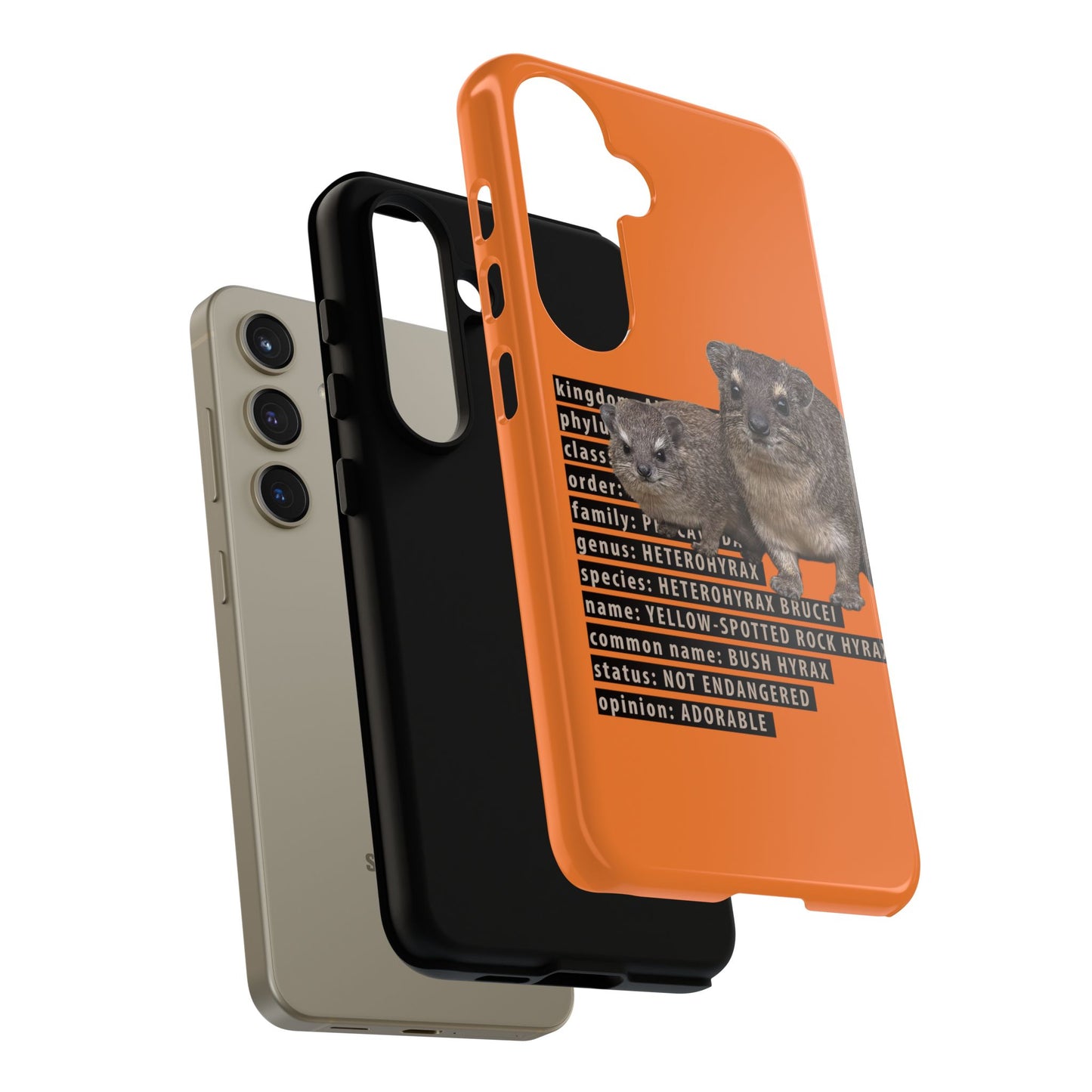 Hyrax Taxonomic Hierarchy Phone Cases