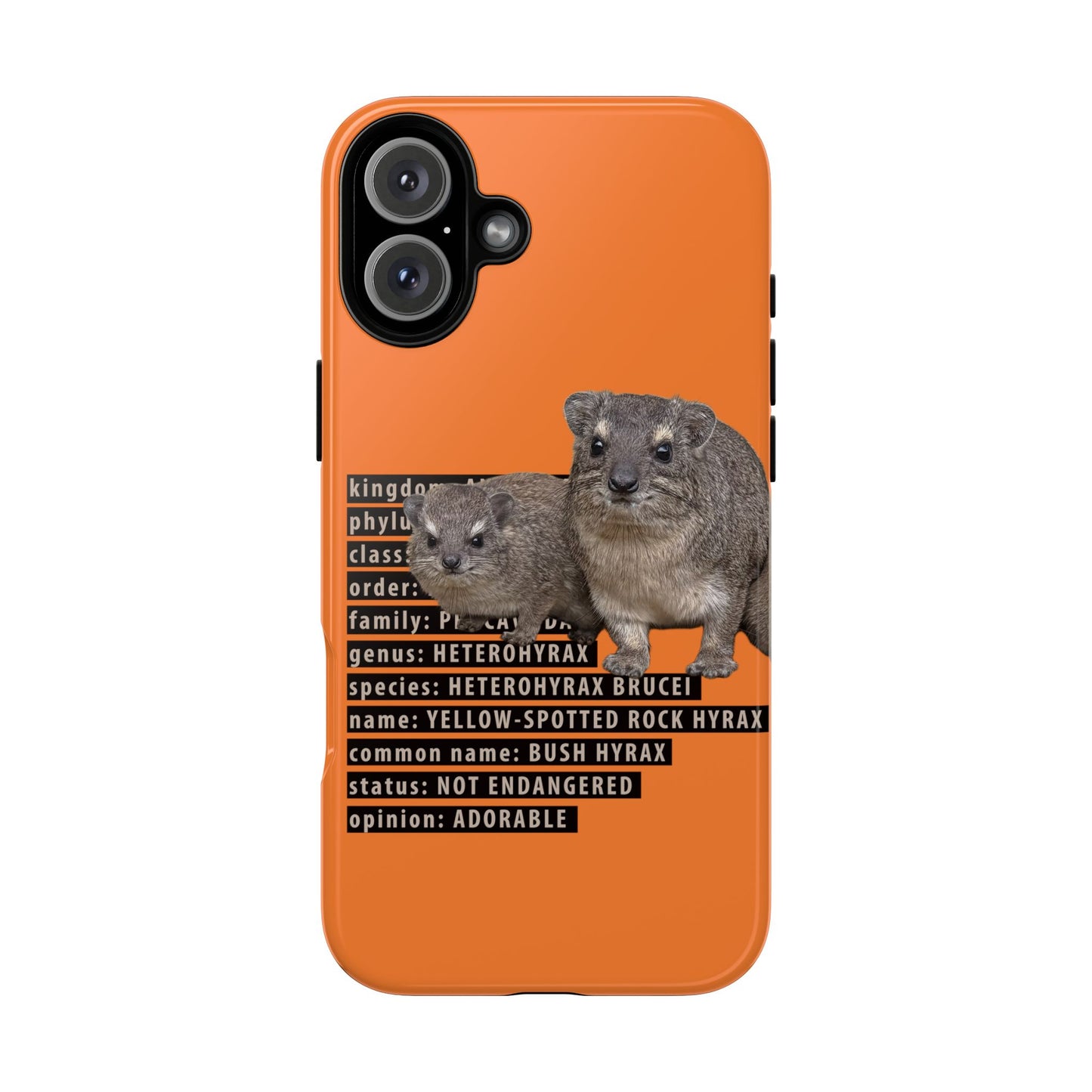 Hyrax Taxonomic Hierarchy Phone Cases