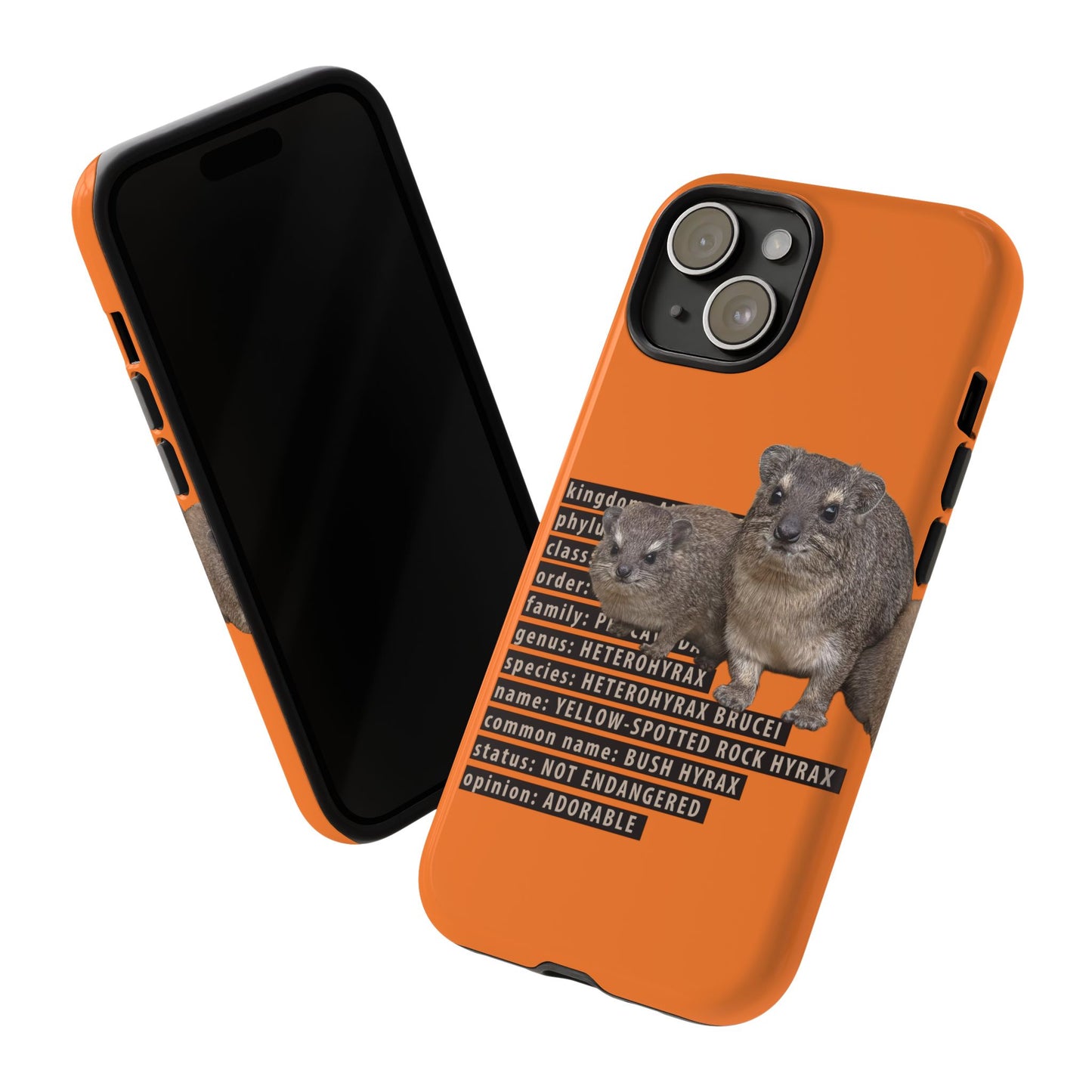 Hyrax Taxonomic Hierarchy Phone Cases