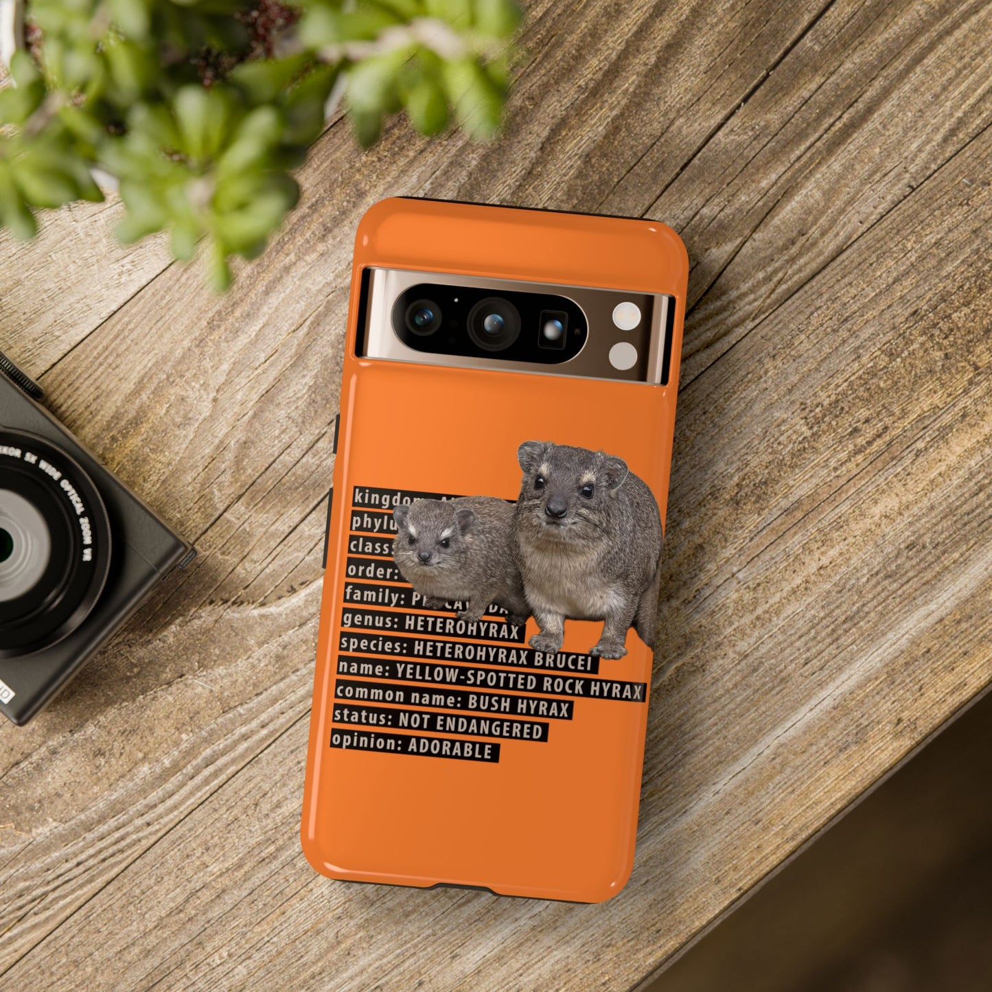 Hyrax Taxonomic Hierarchy Phone Cases
