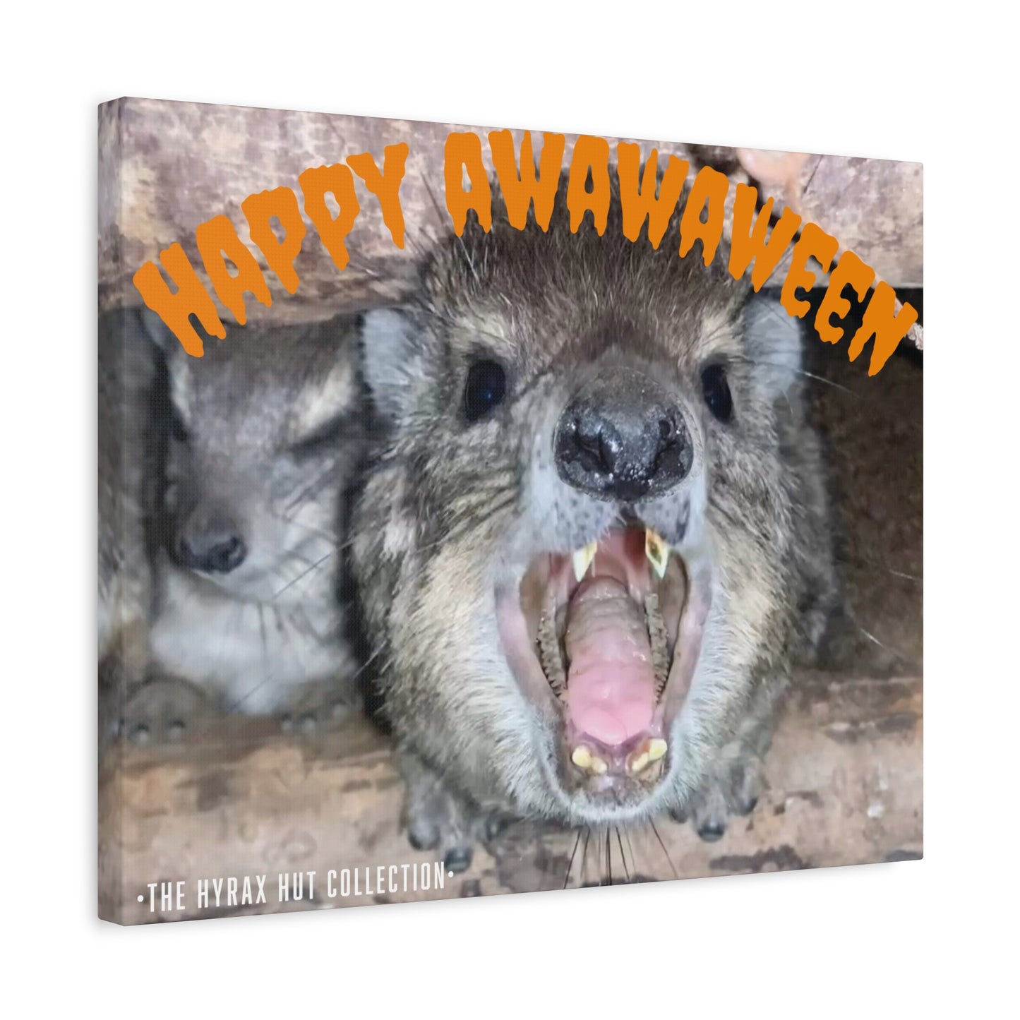 Hyrax Scream Print Wall Art, Halloween, Matte Canvas Photo, Awawa Extreme, Unique Home Decor, Wall Art for Animal Enthusiasts,
