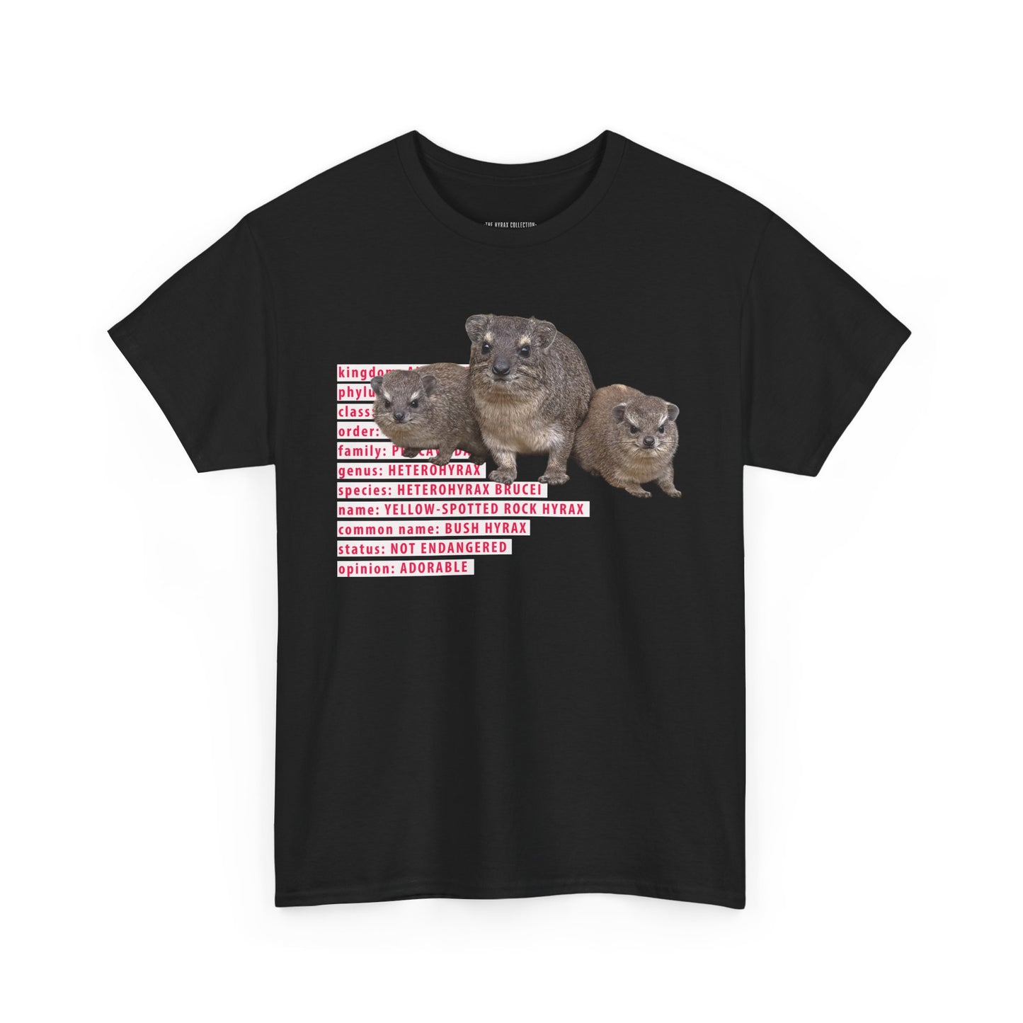 Hyrax Taxonomic Hierarchy - Unisex Heavy Cotton Tee - For The Distinguished Awawa Lover