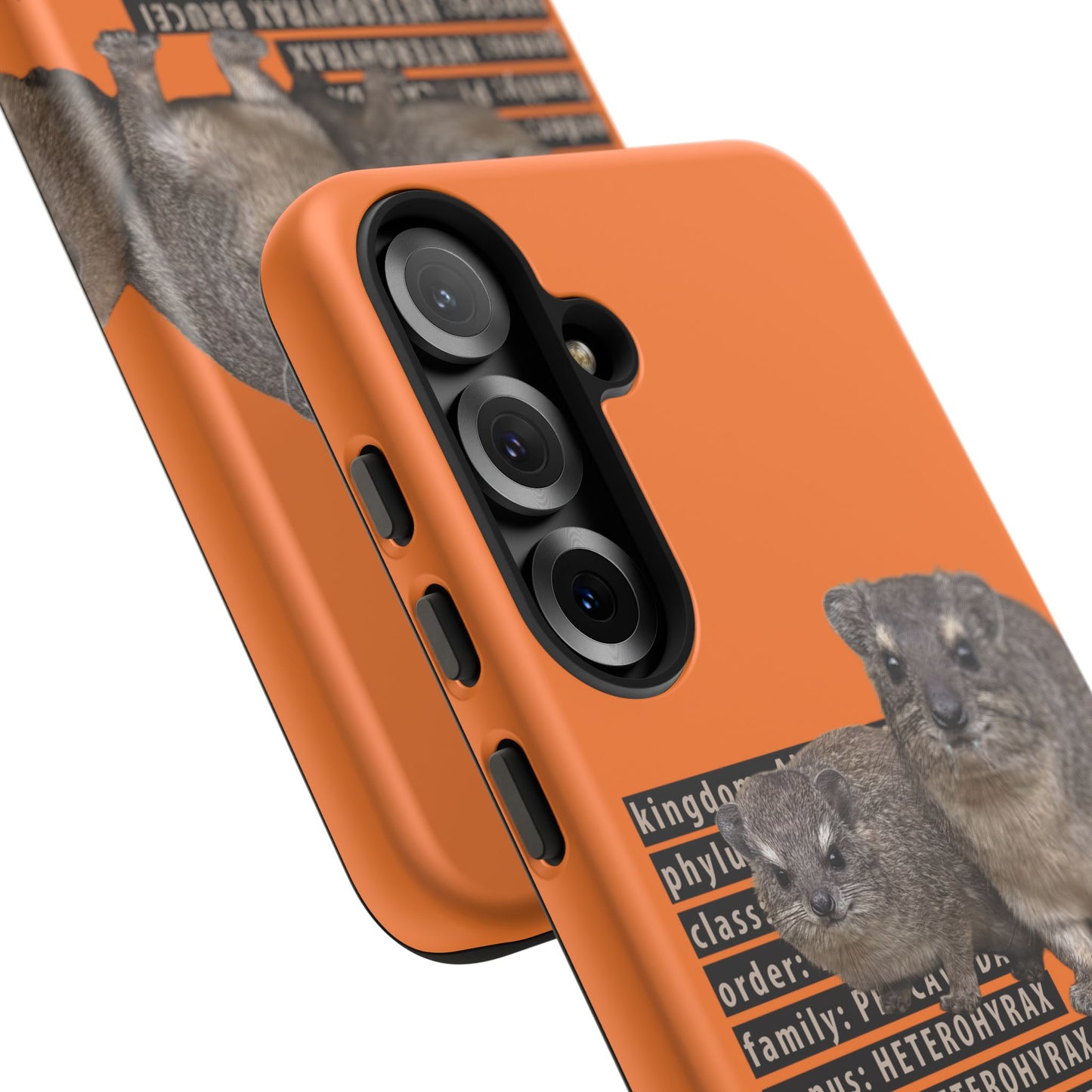 Hyrax Taxonomic Hierarchy Phone Cases