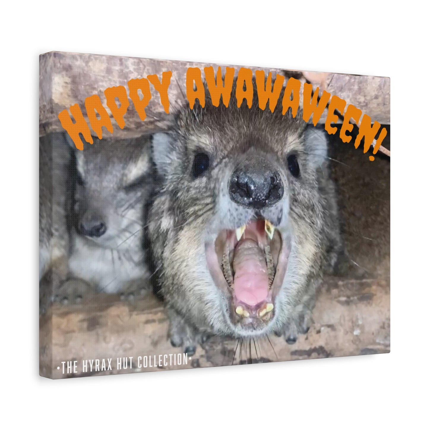 Hyrax Scream Print Wall Art, Halloween, Matte Canvas Photo, Awawa Extreme, Unique Home Decor, Wall Art for Animal Enthusiasts,