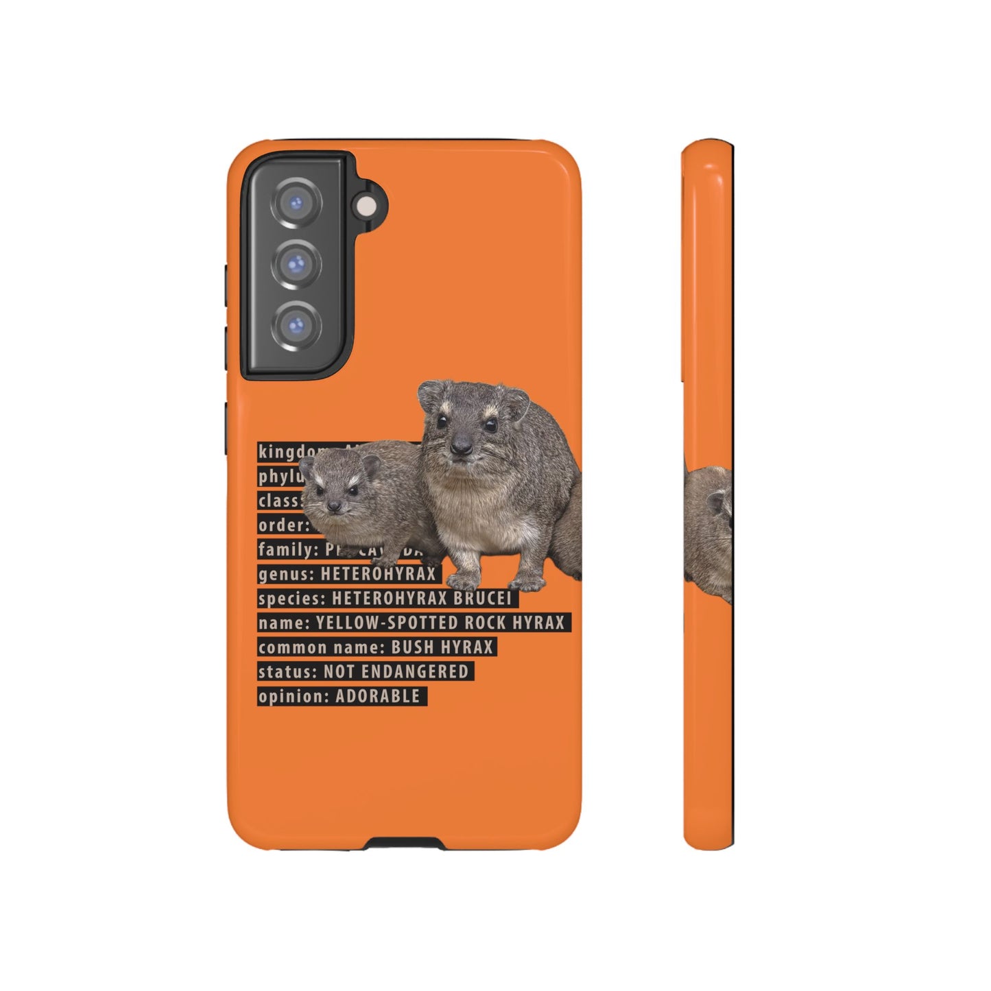 Hyrax Taxonomic Hierarchy Phone Cases