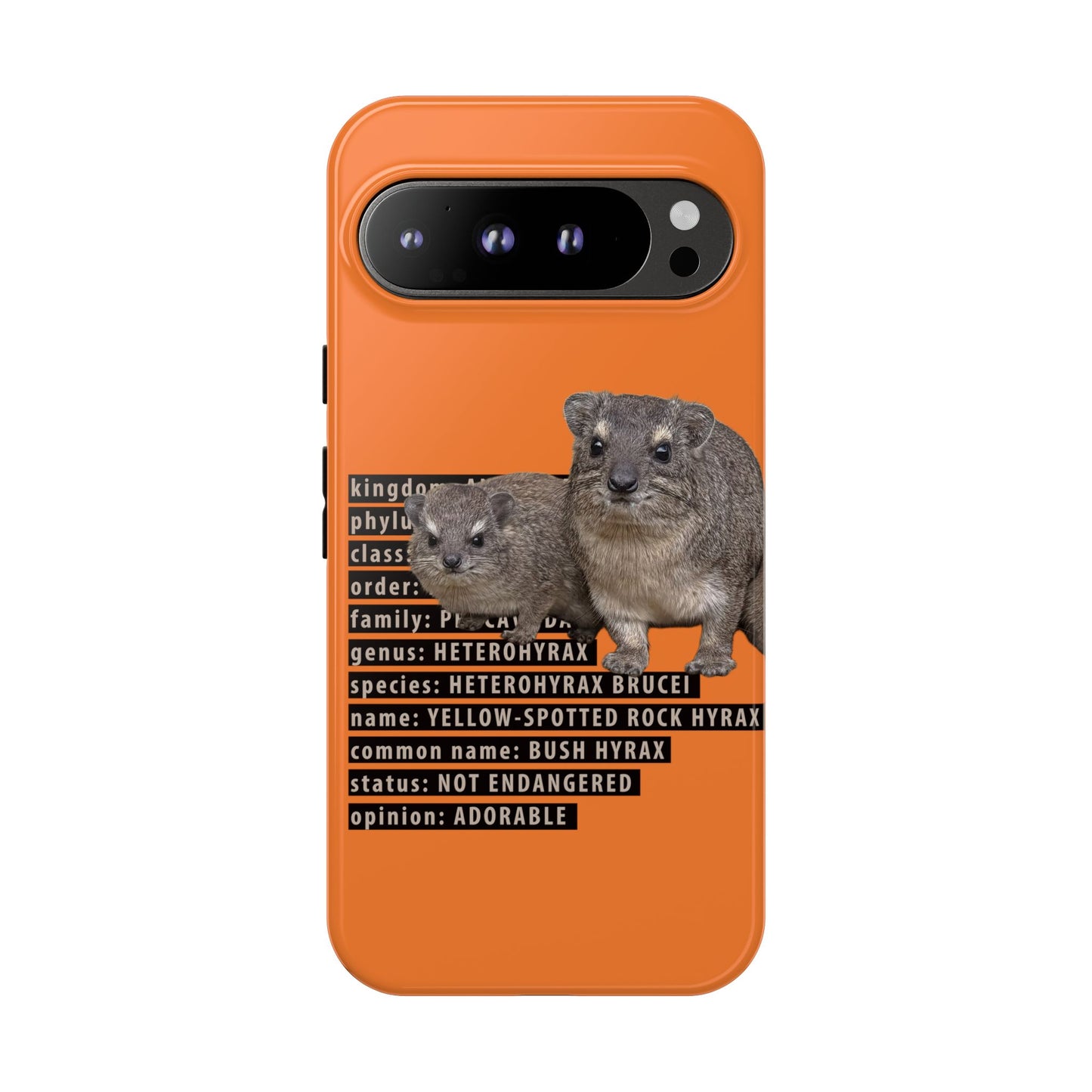 Hyrax Taxonomic Hierarchy Phone Cases