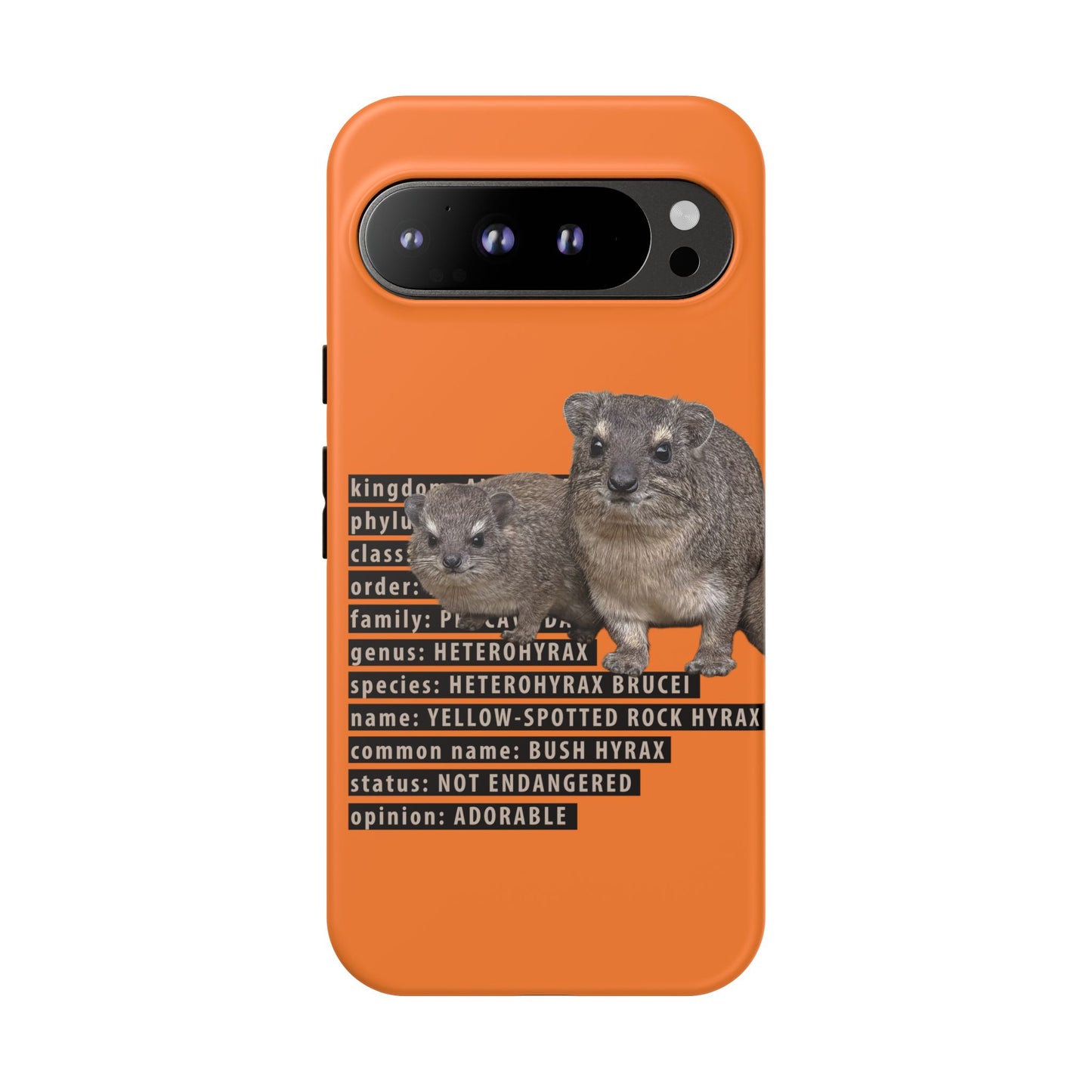 Hyrax Taxonomic Hierarchy Phone Cases