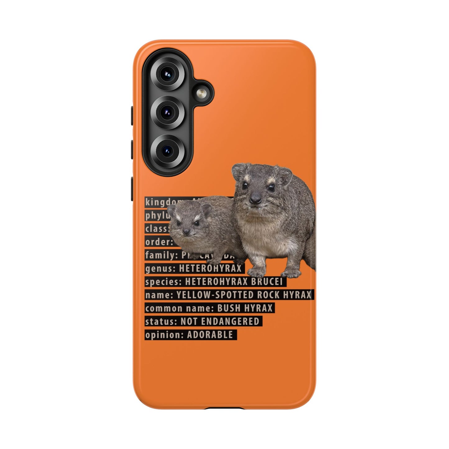 Hyrax Taxonomic Hierarchy Phone Cases