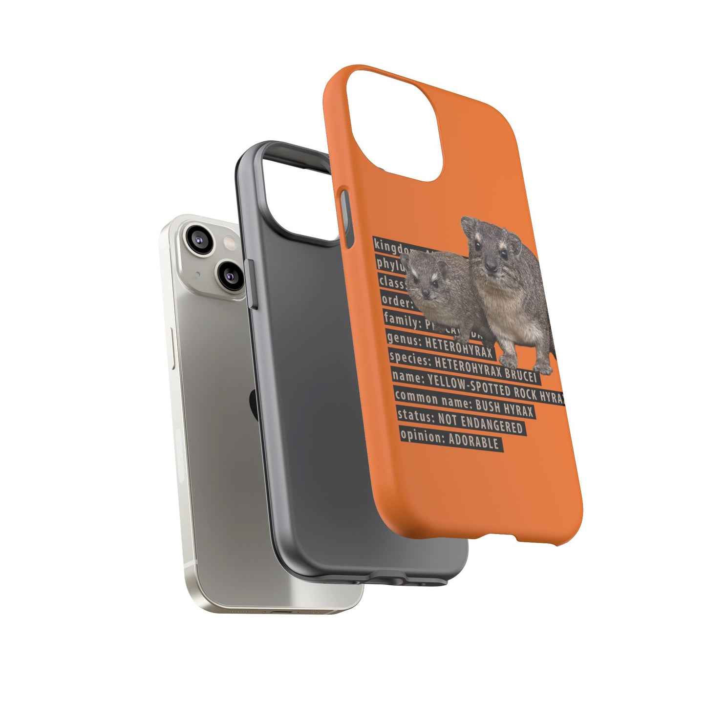 Hyrax Taxonomic Hierarchy Phone Cases
