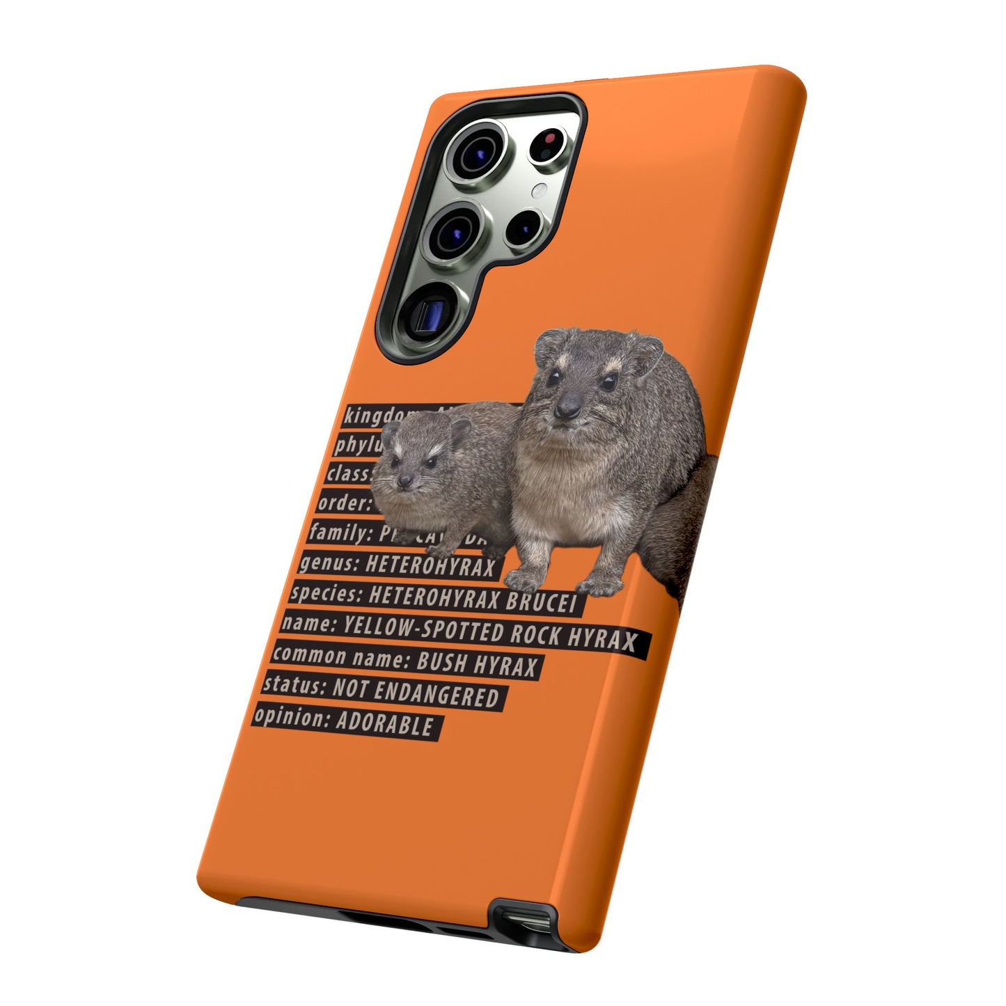 Hyrax Taxonomic Hierarchy Phone Cases
