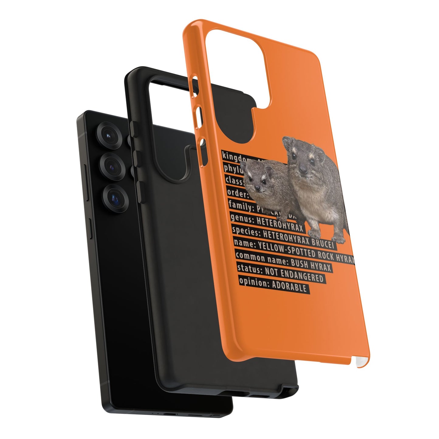 Hyrax Taxonomic Hierarchy Phone Cases
