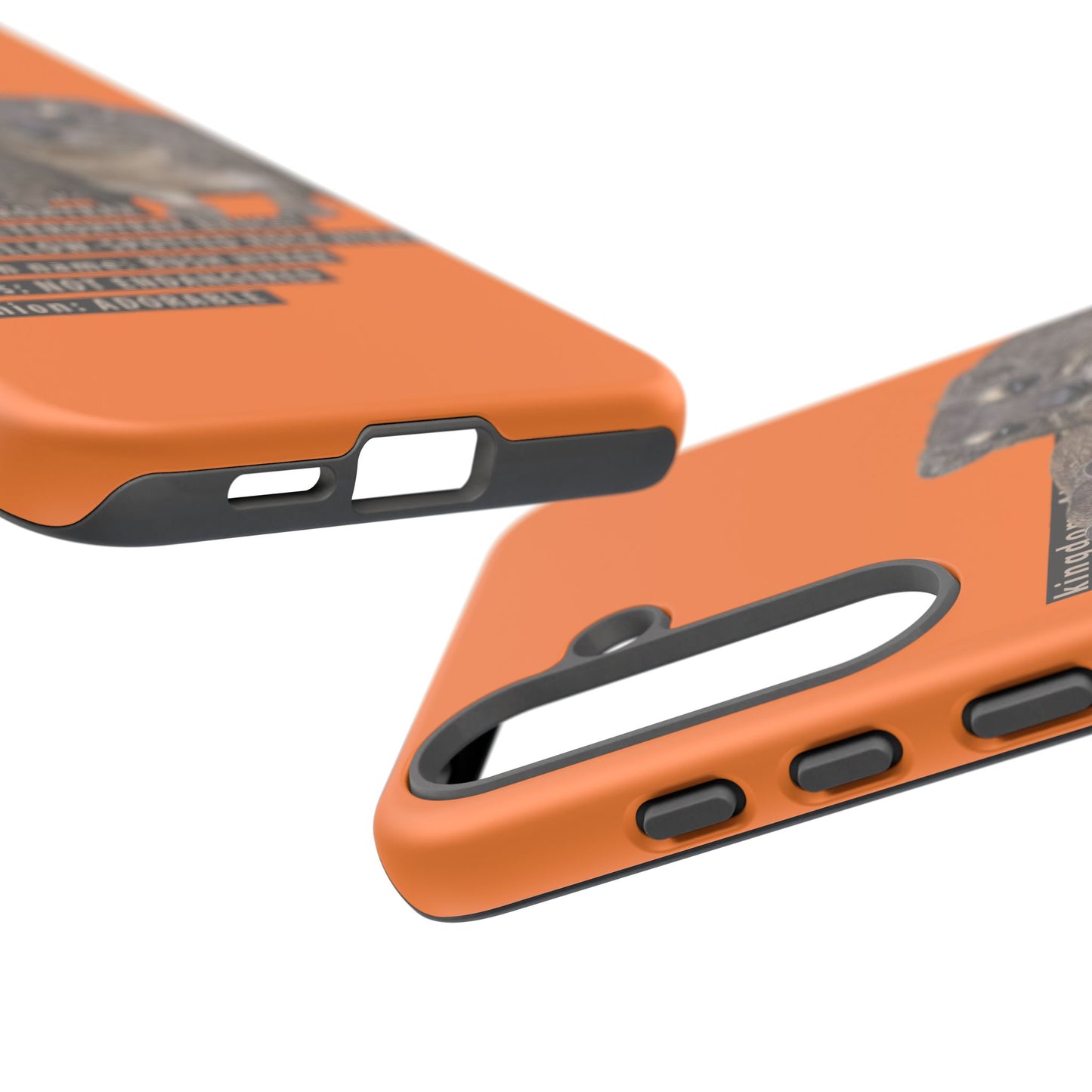 Hyrax Taxonomic Hierarchy Phone Cases