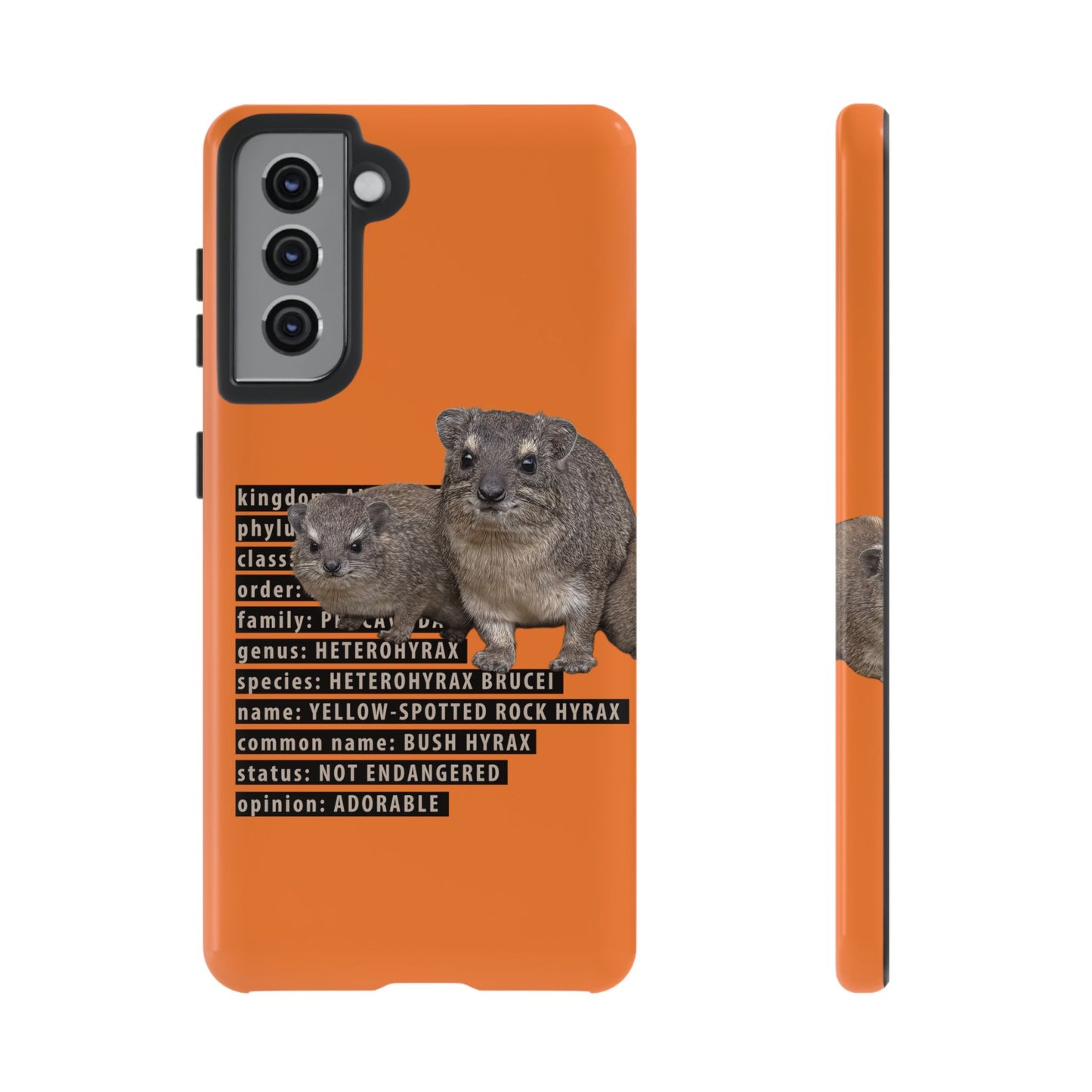 Hyrax Taxonomic Hierarchy Phone Cases