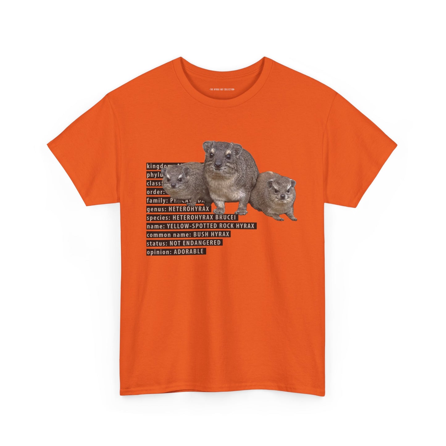 Hyrax Taxonomic Hierarchy - Unisex Heavy Cotton Tee - For The Distinguished Awawa Lover