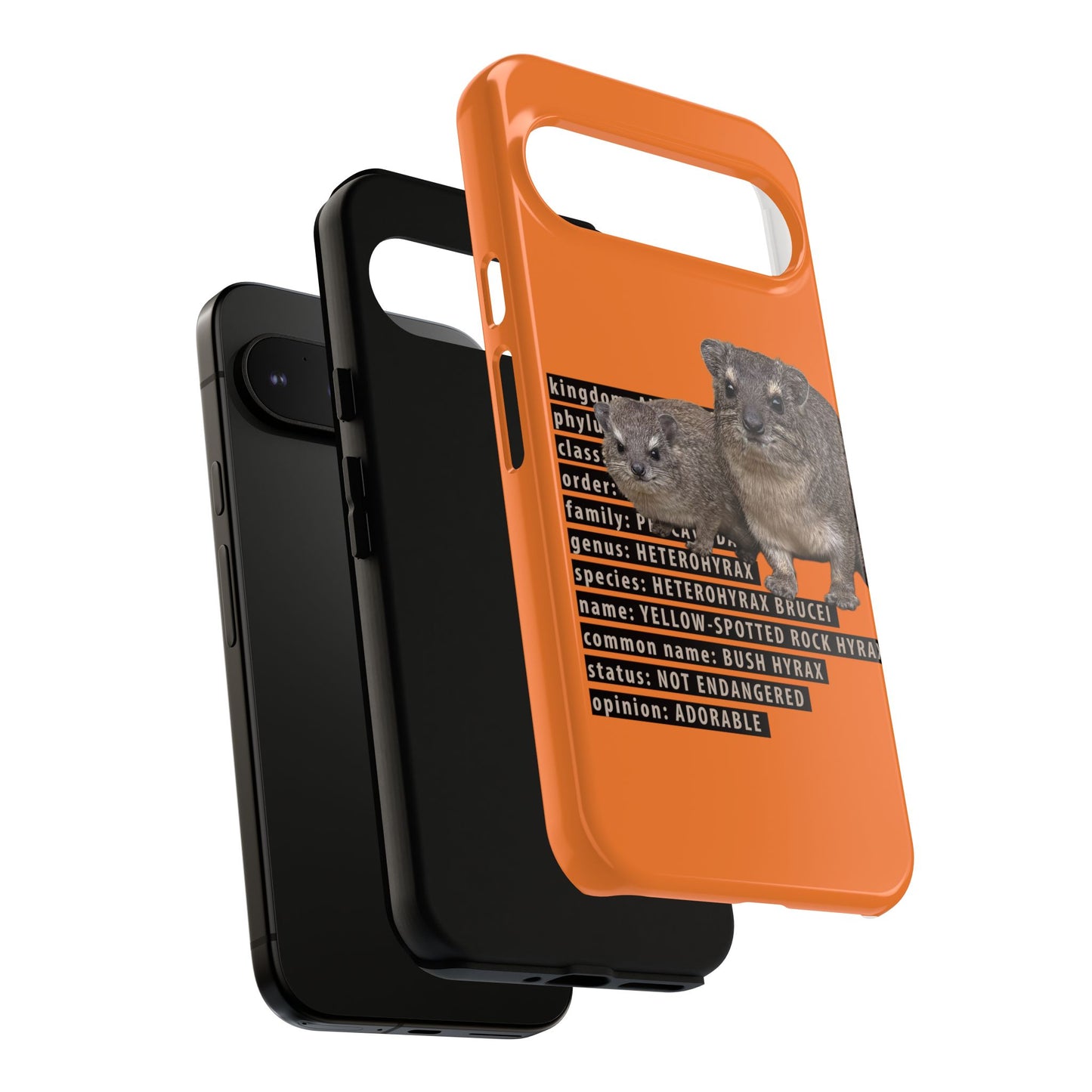Hyrax Taxonomic Hierarchy Phone Cases