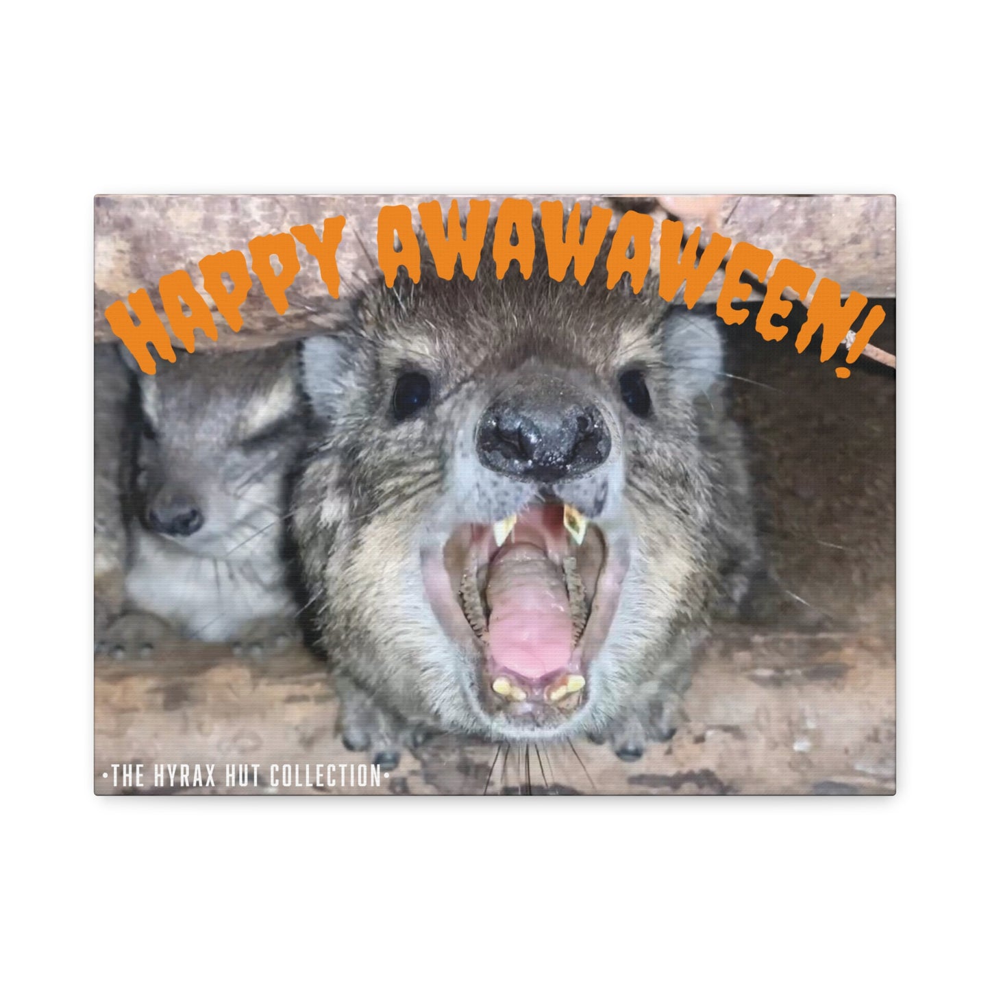 Hyrax Scream Print Wall Art, Halloween, Matte Canvas Photo, Awawa Extreme, Unique Home Decor, Wall Art for Animal Enthusiasts,