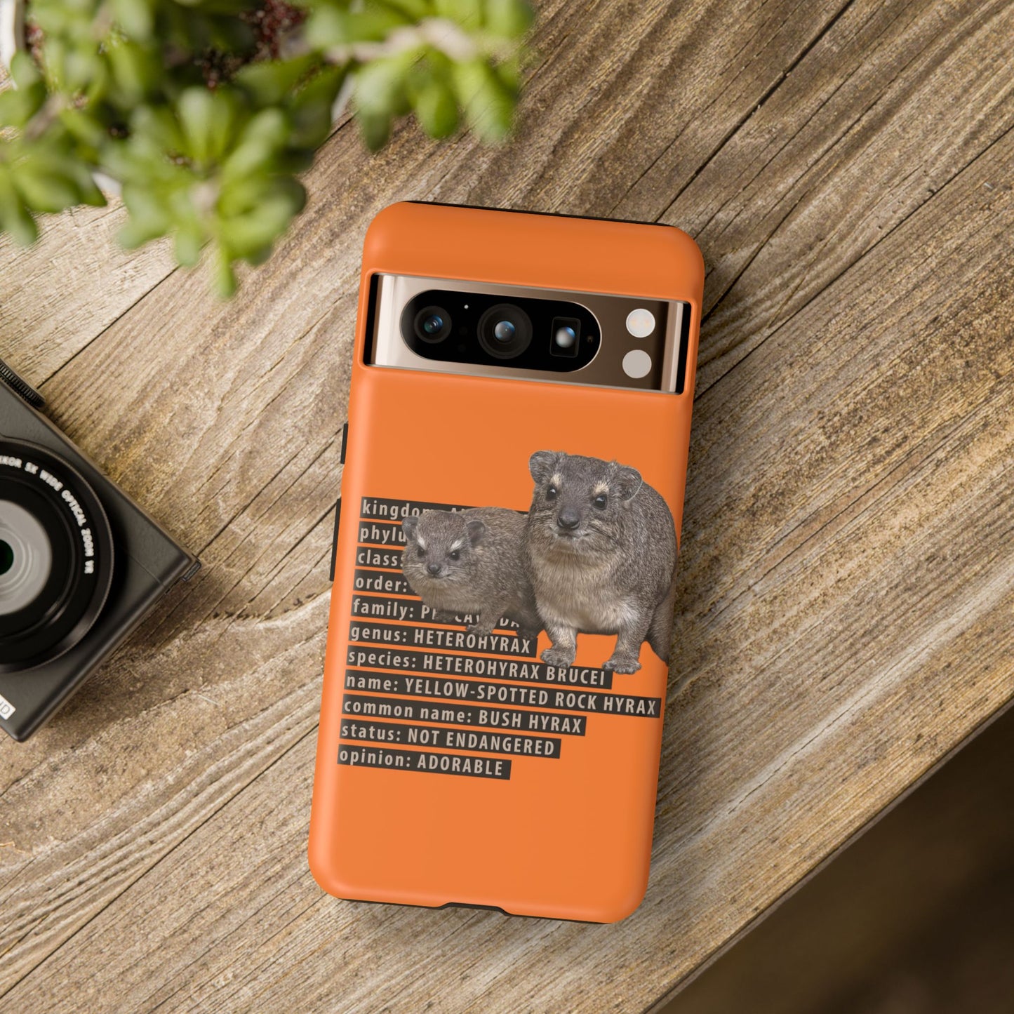 Hyrax Taxonomic Hierarchy Phone Cases