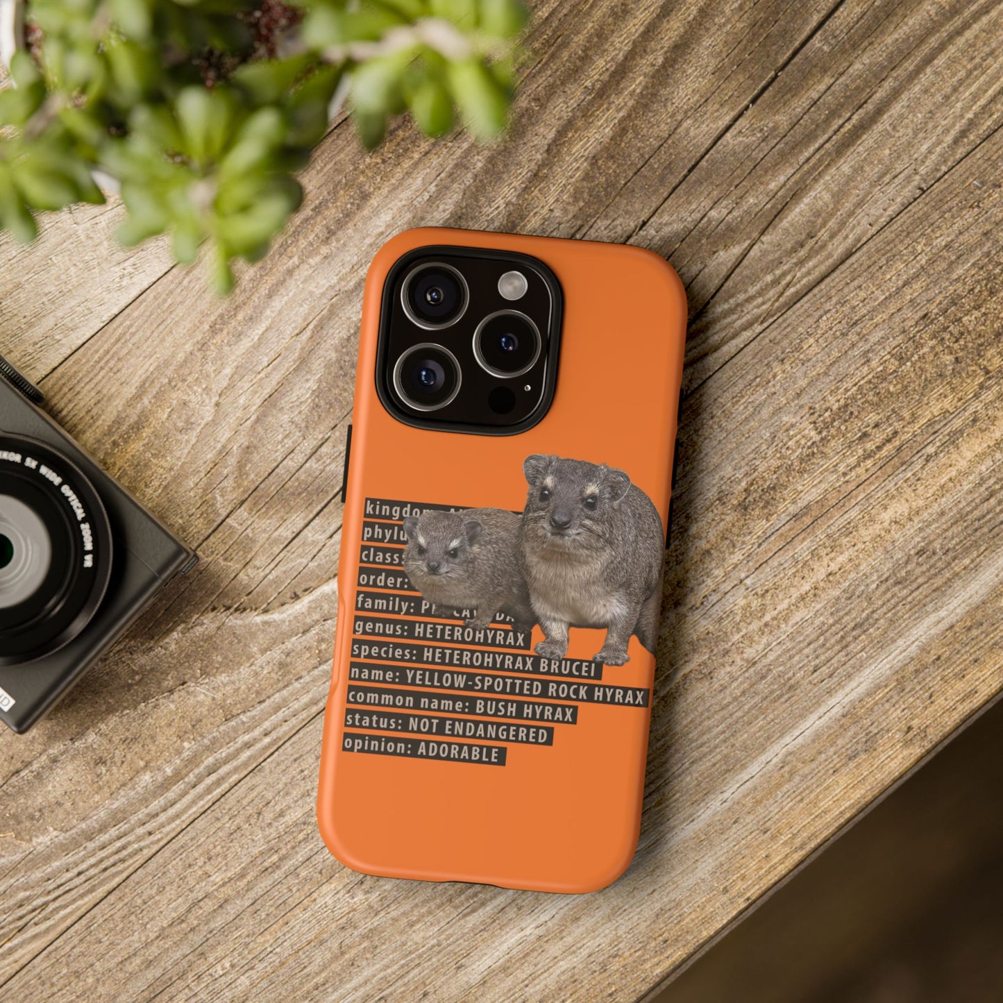Hyrax Taxonomic Hierarchy Phone Cases