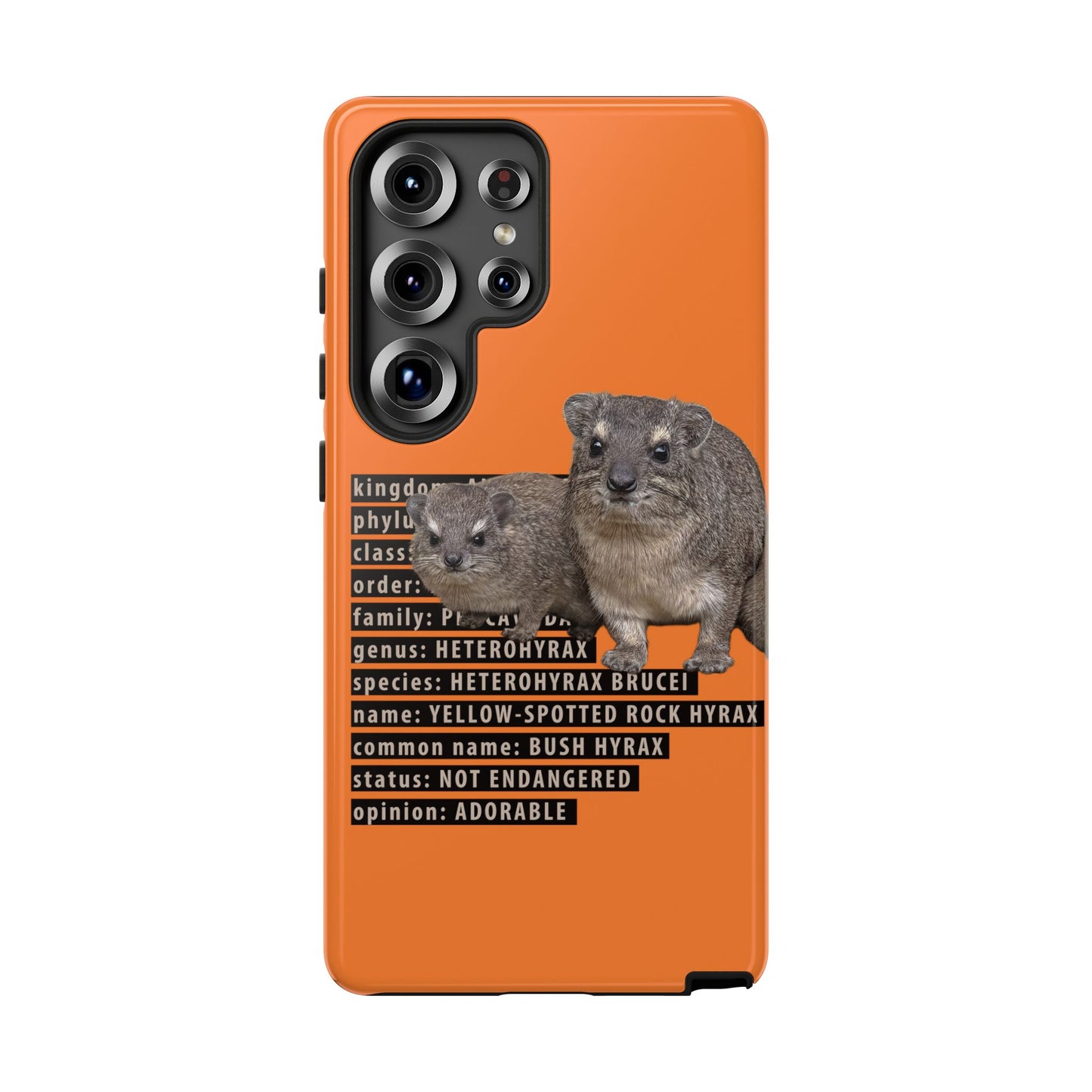 Hyrax Taxonomic Hierarchy Phone Cases