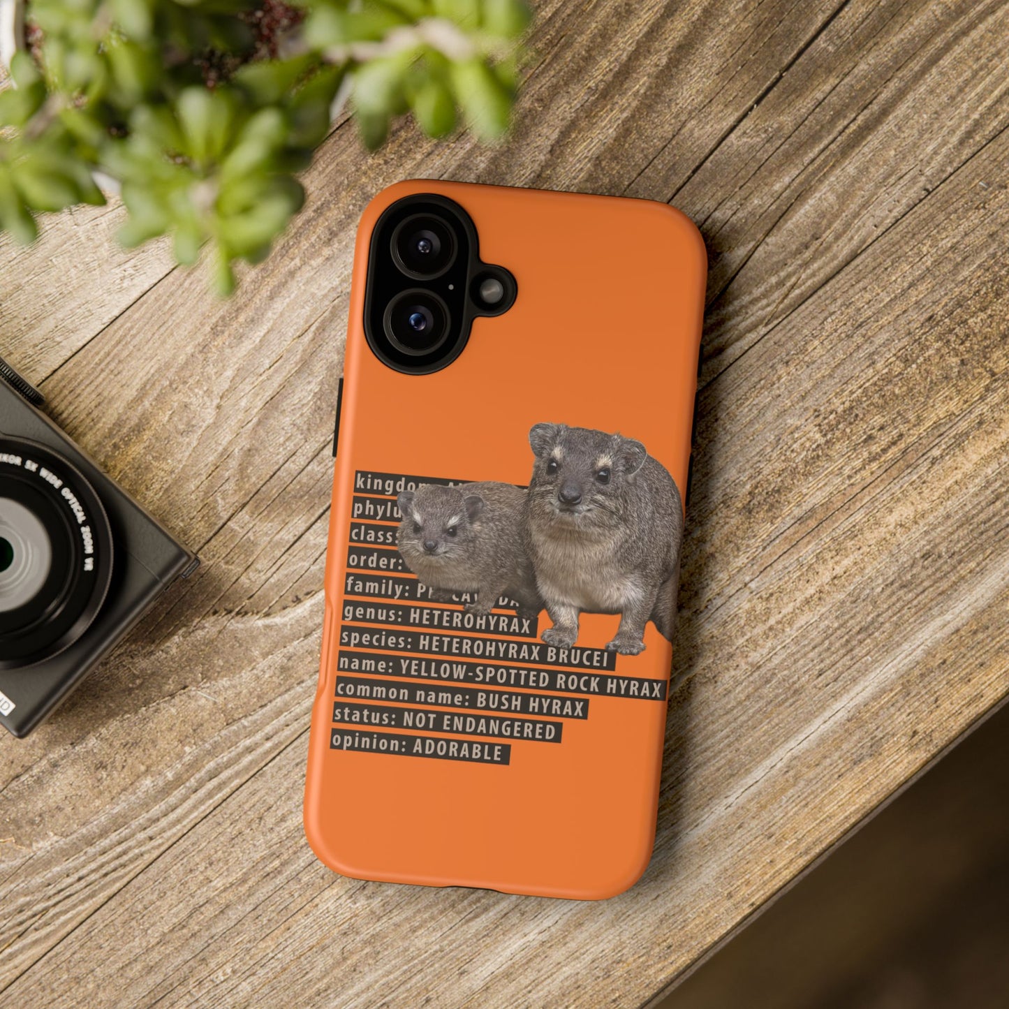 Hyrax Taxonomic Hierarchy Phone Cases