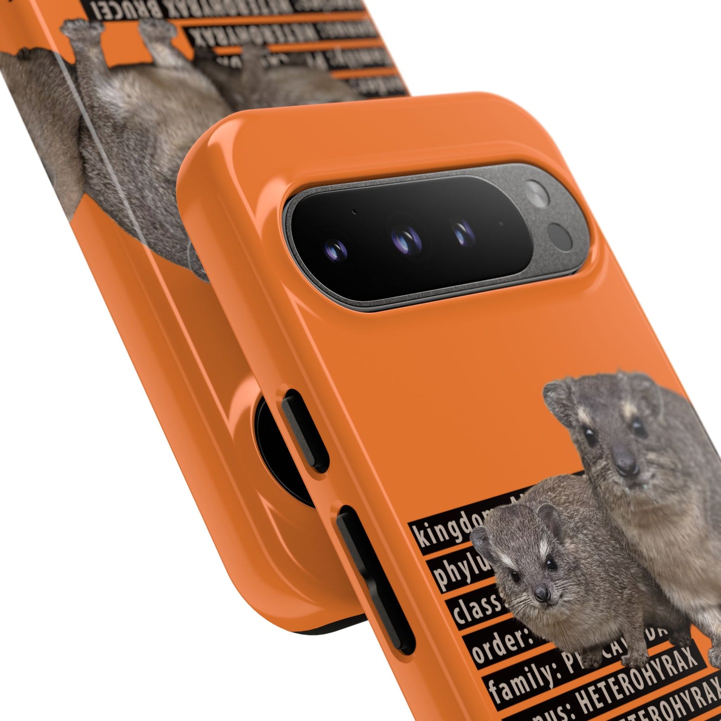 Hyrax Taxonomic Hierarchy Phone Cases