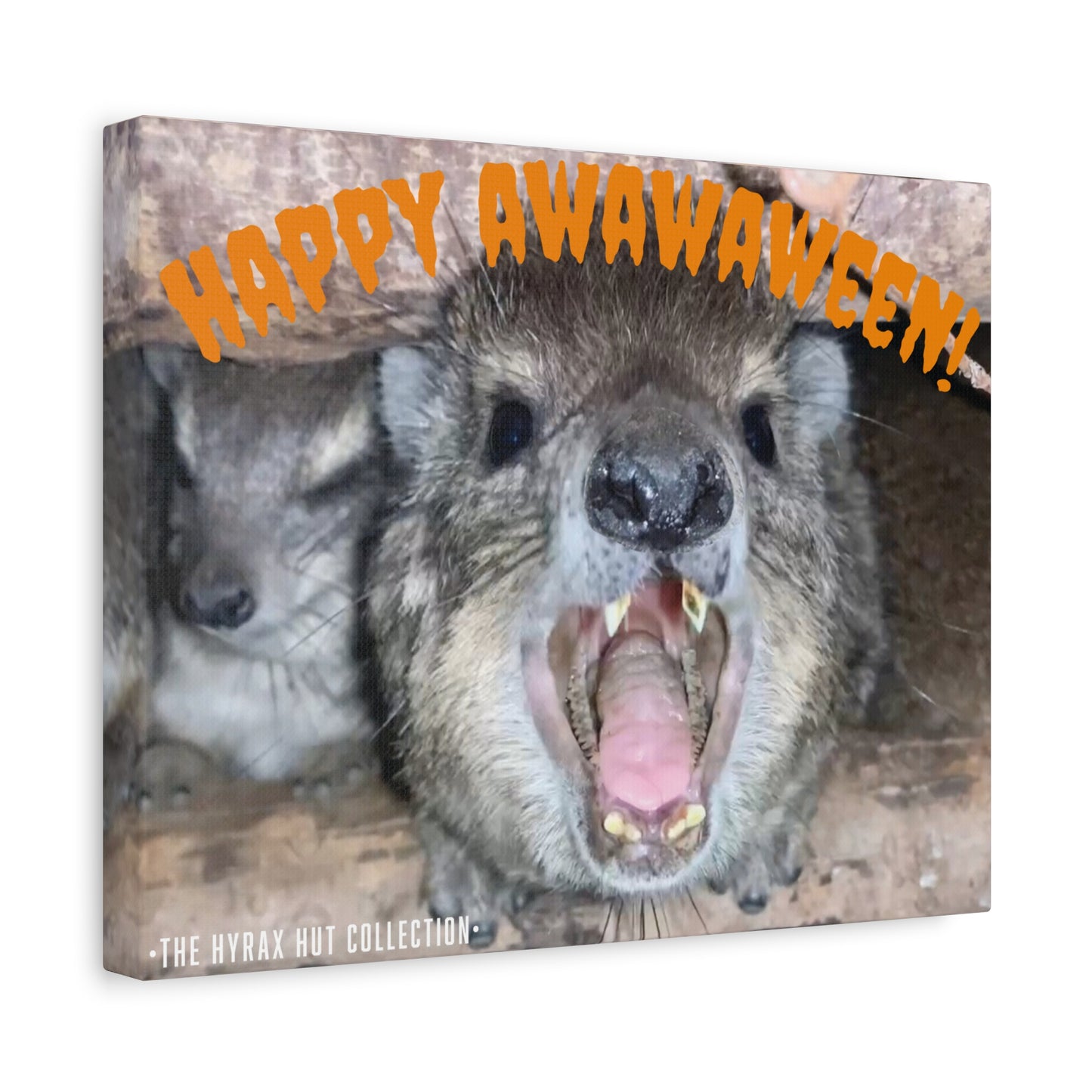 Hyrax Scream Print Wall Art, Halloween, Matte Canvas Photo, Awawa Extreme, Unique Home Decor, Wall Art for Animal Enthusiasts,