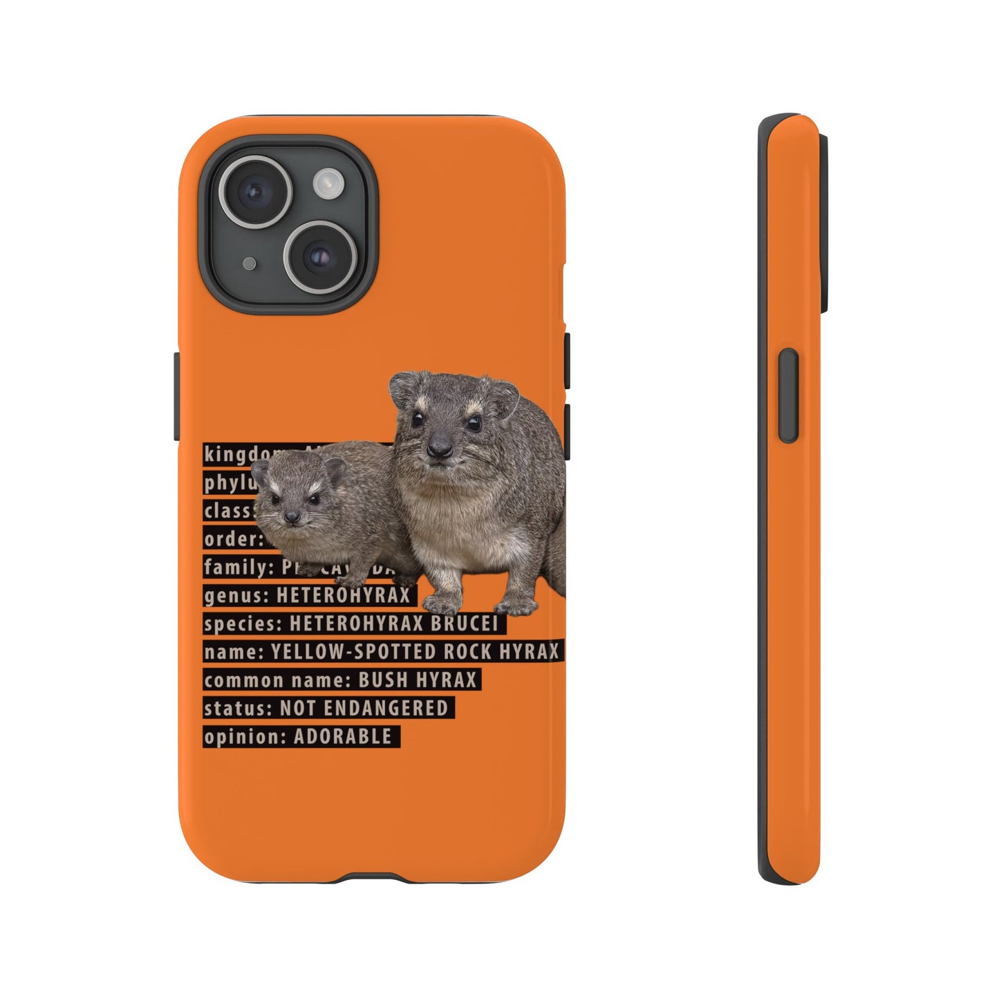 Hyrax Taxonomic Hierarchy Phone Cases