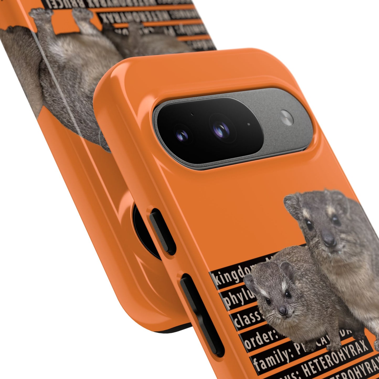 Hyrax Taxonomic Hierarchy Phone Cases