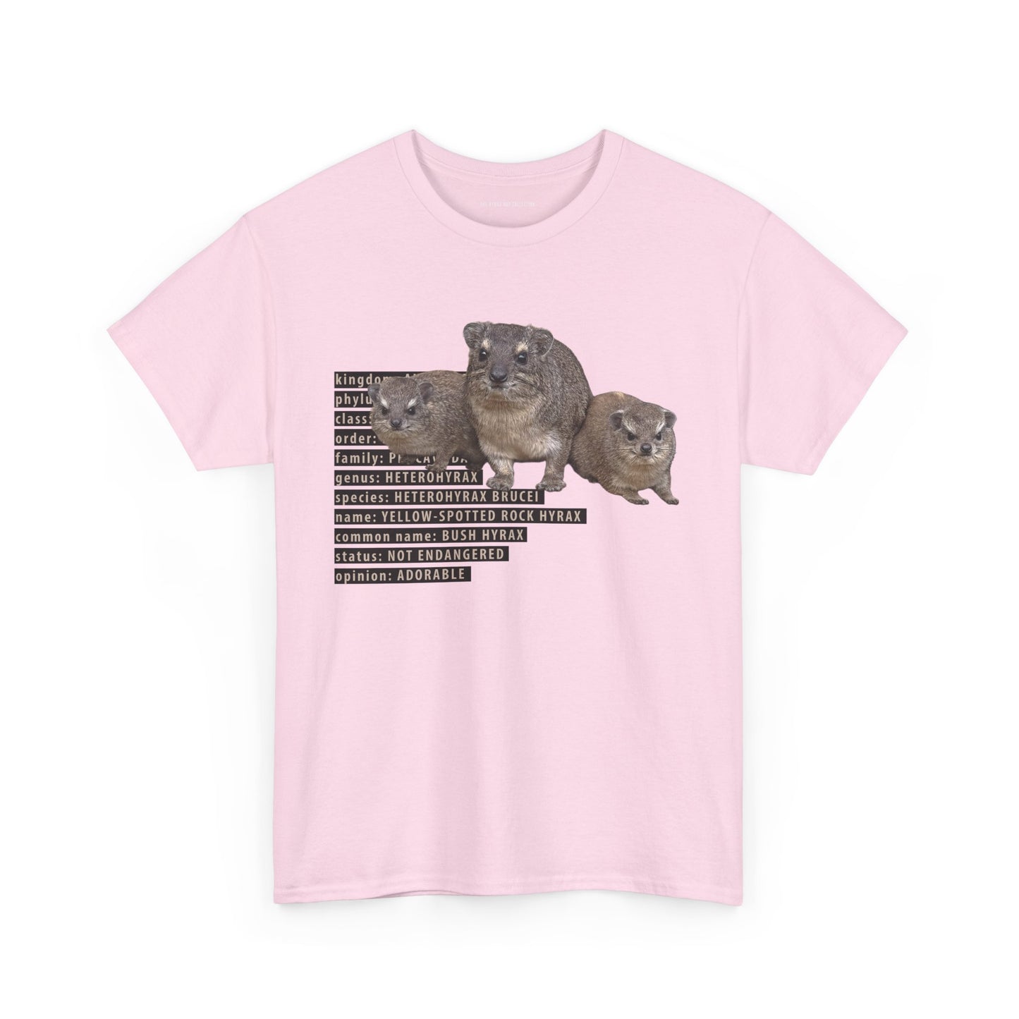 Hyrax Taxonomic Hierarchy - Unisex Heavy Cotton Tee - For The Distinguished Awawa Lover