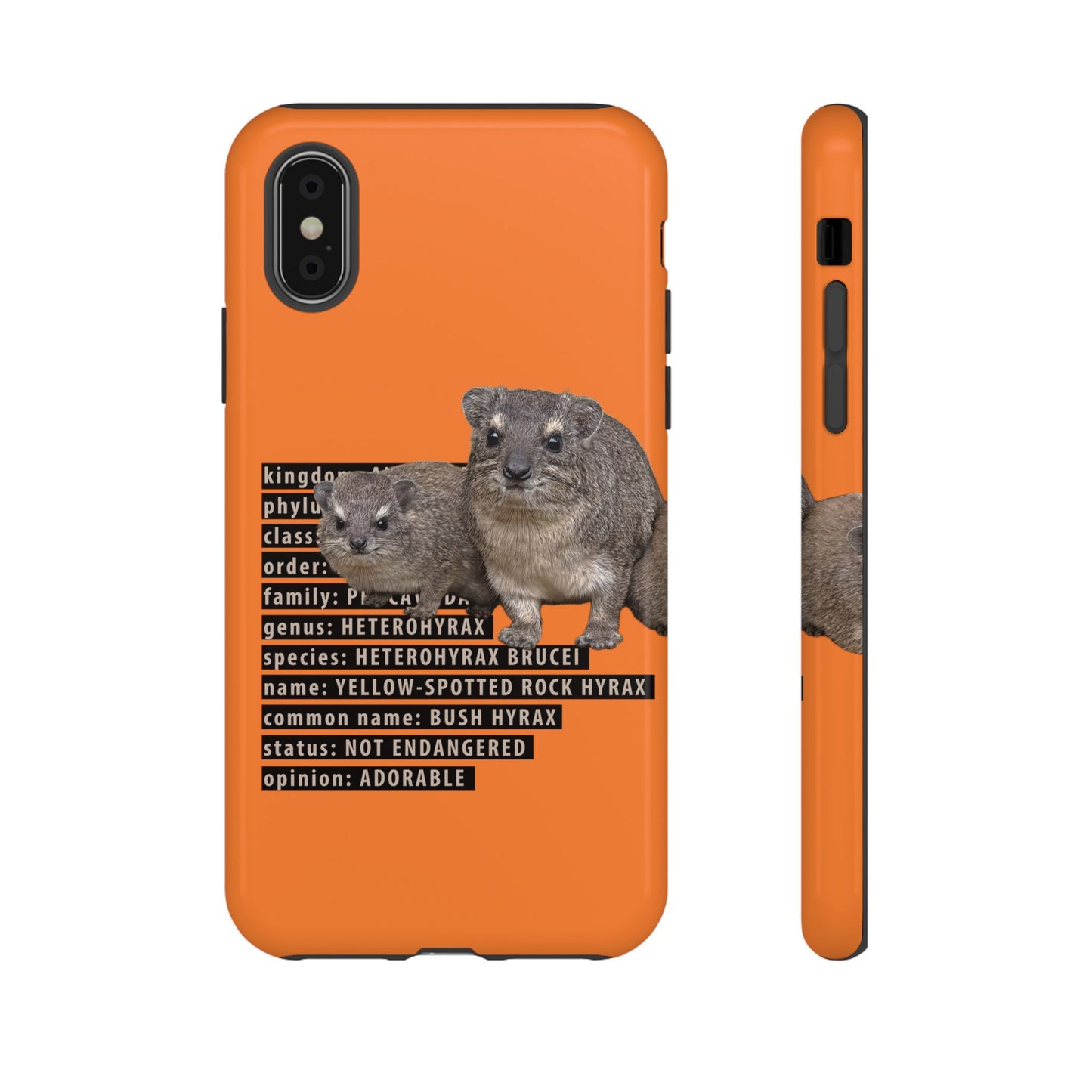 Hyrax Taxonomic Hierarchy Phone Cases
