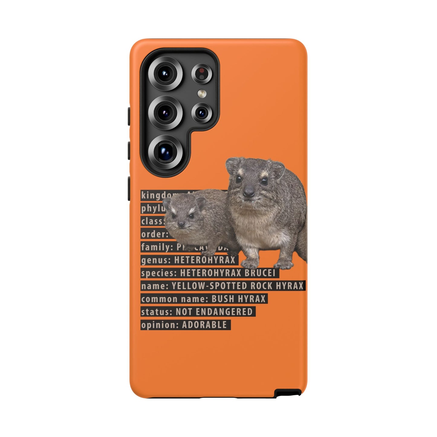 Hyrax Taxonomic Hierarchy Phone Cases