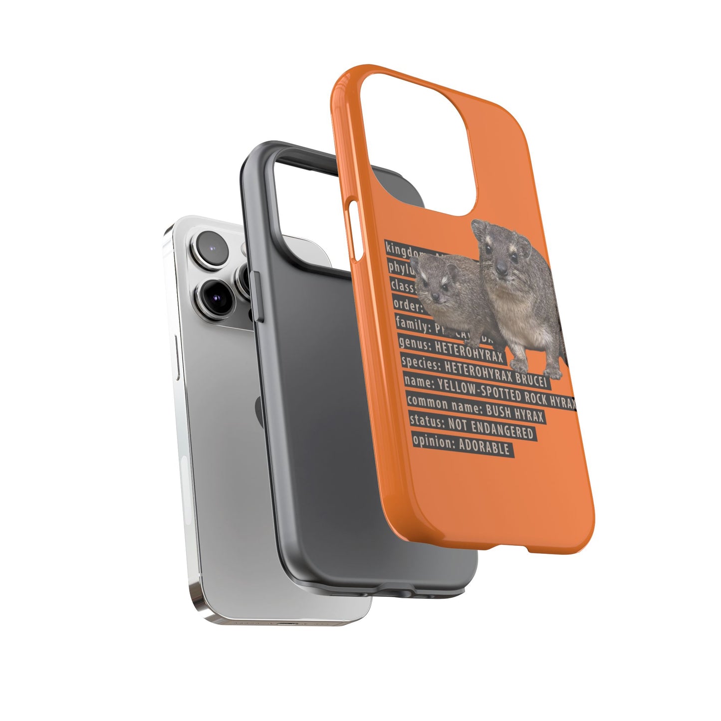 Hyrax Taxonomic Hierarchy Phone Cases