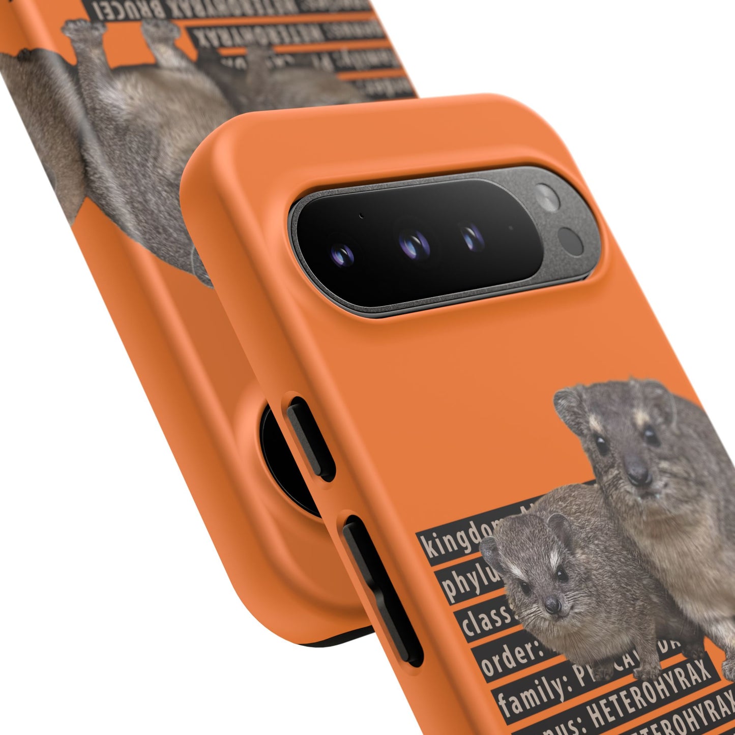 Hyrax Taxonomic Hierarchy Phone Cases