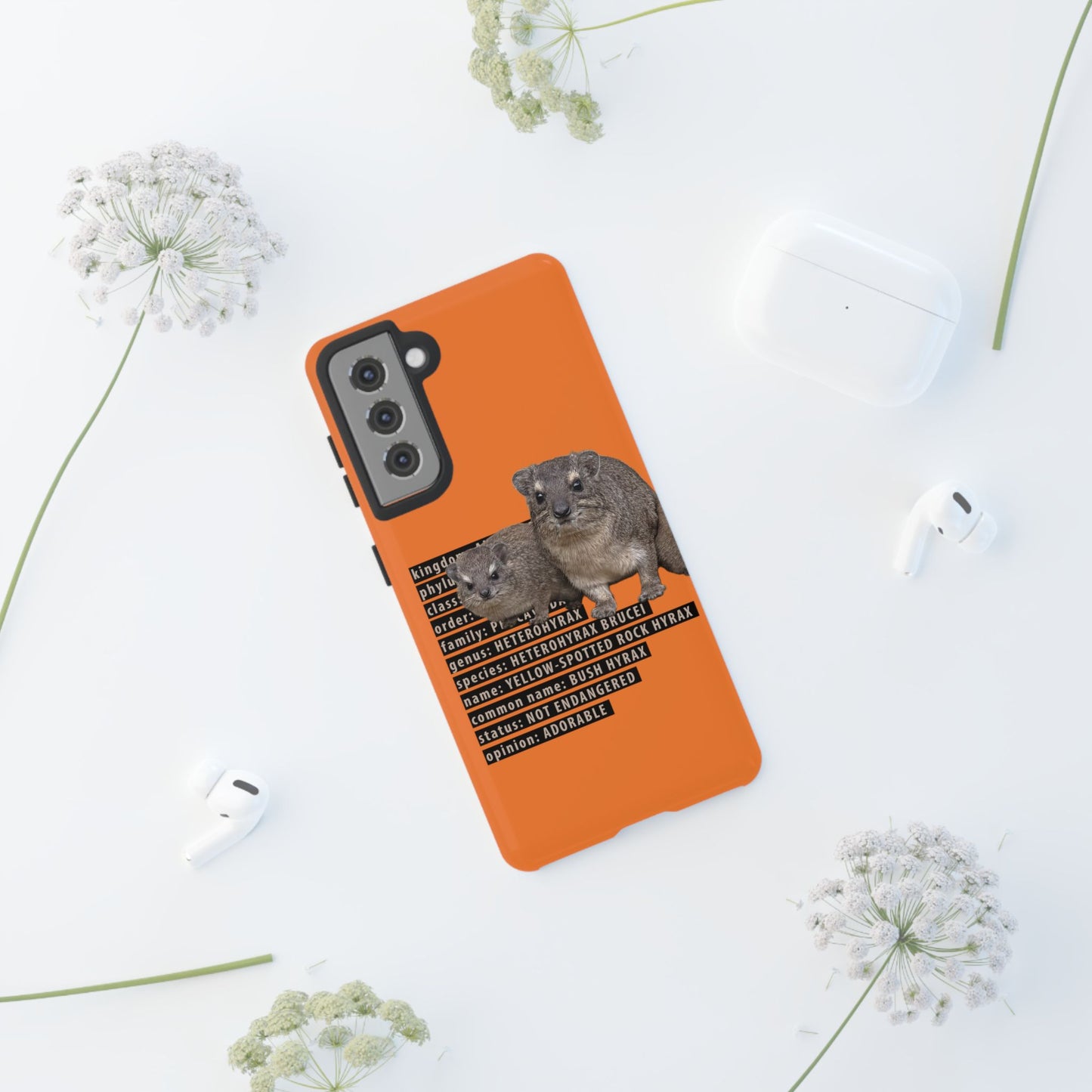 Hyrax Taxonomic Hierarchy Phone Cases
