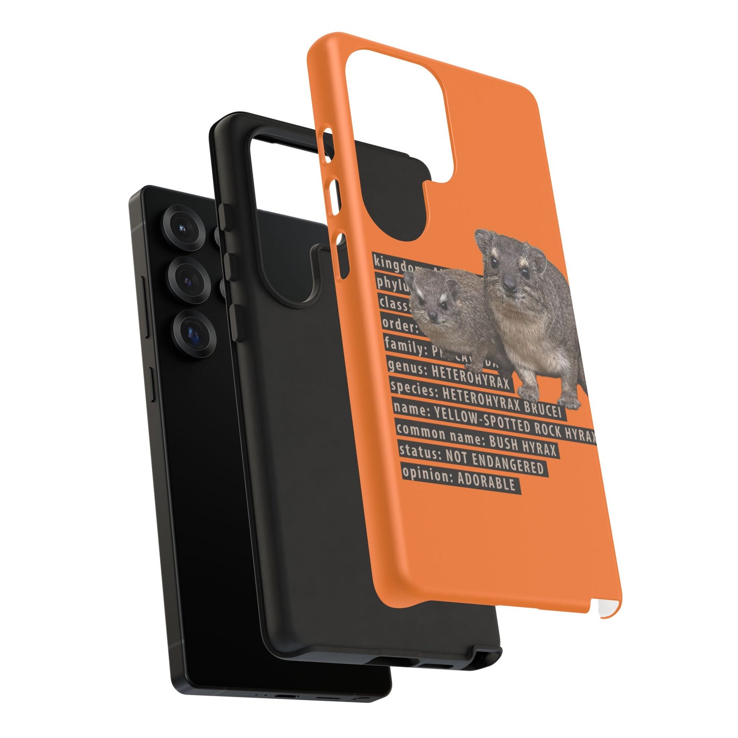 Hyrax Taxonomic Hierarchy Phone Cases