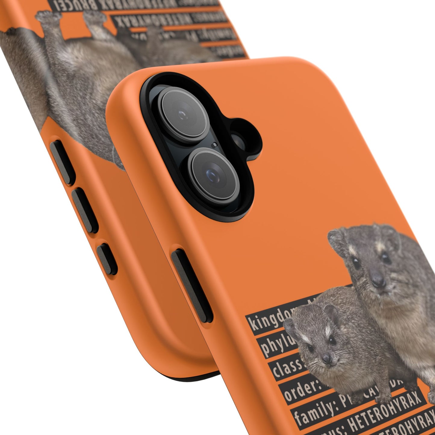 Hyrax Taxonomic Hierarchy Phone Cases